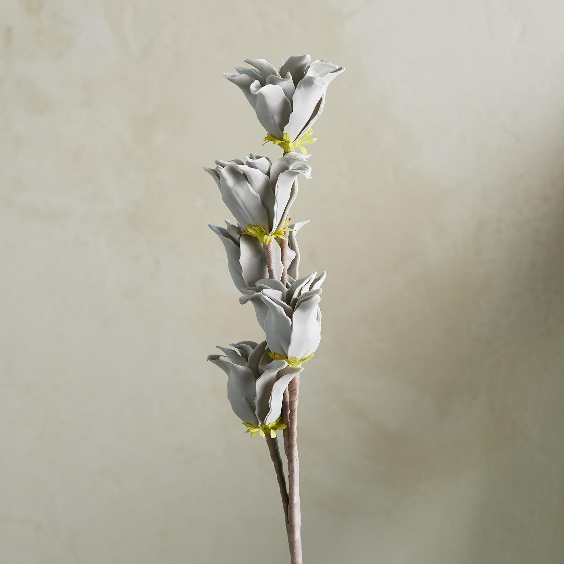 Bountiful Botanicals