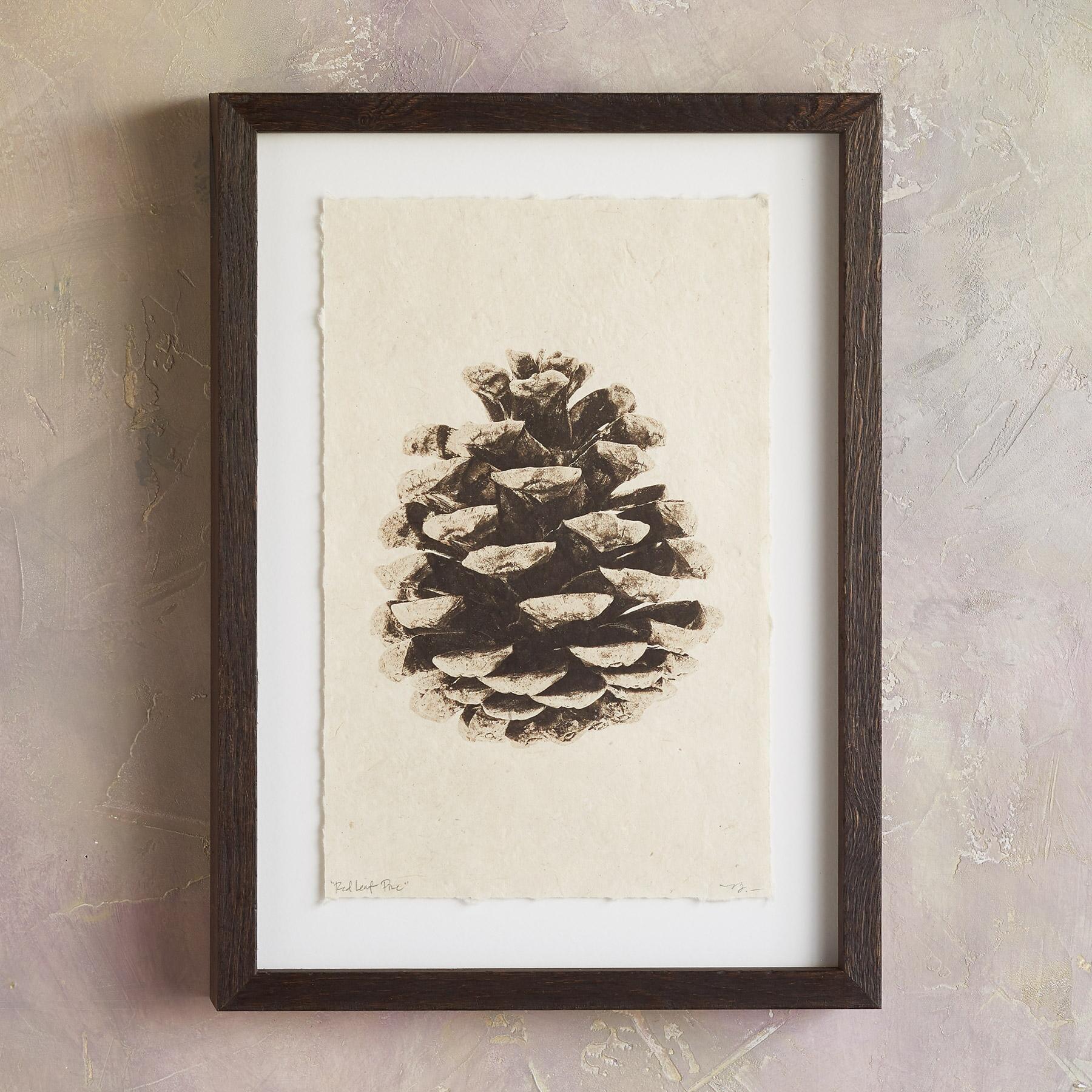 Pinecone Studies Print