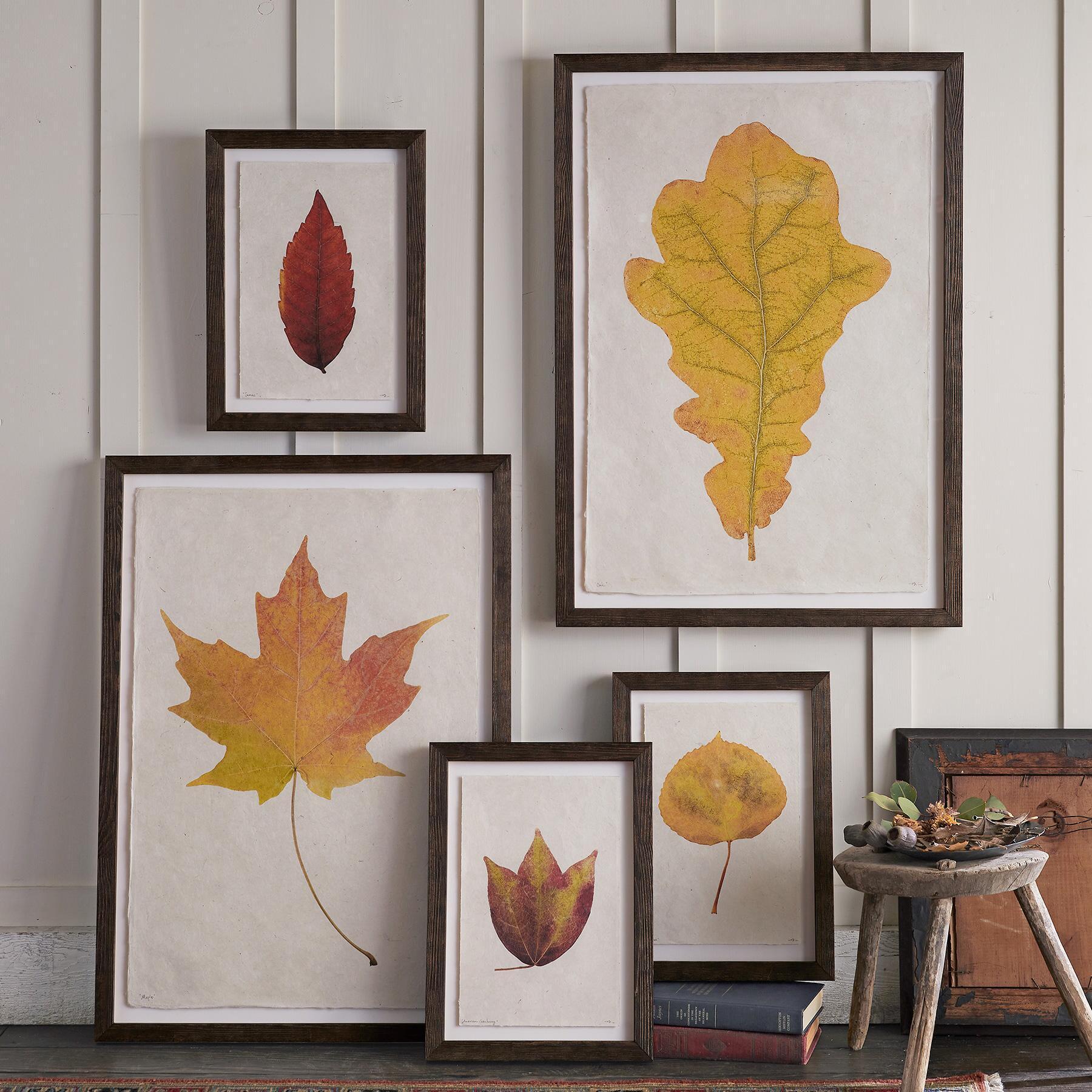 Leaf Studies Print