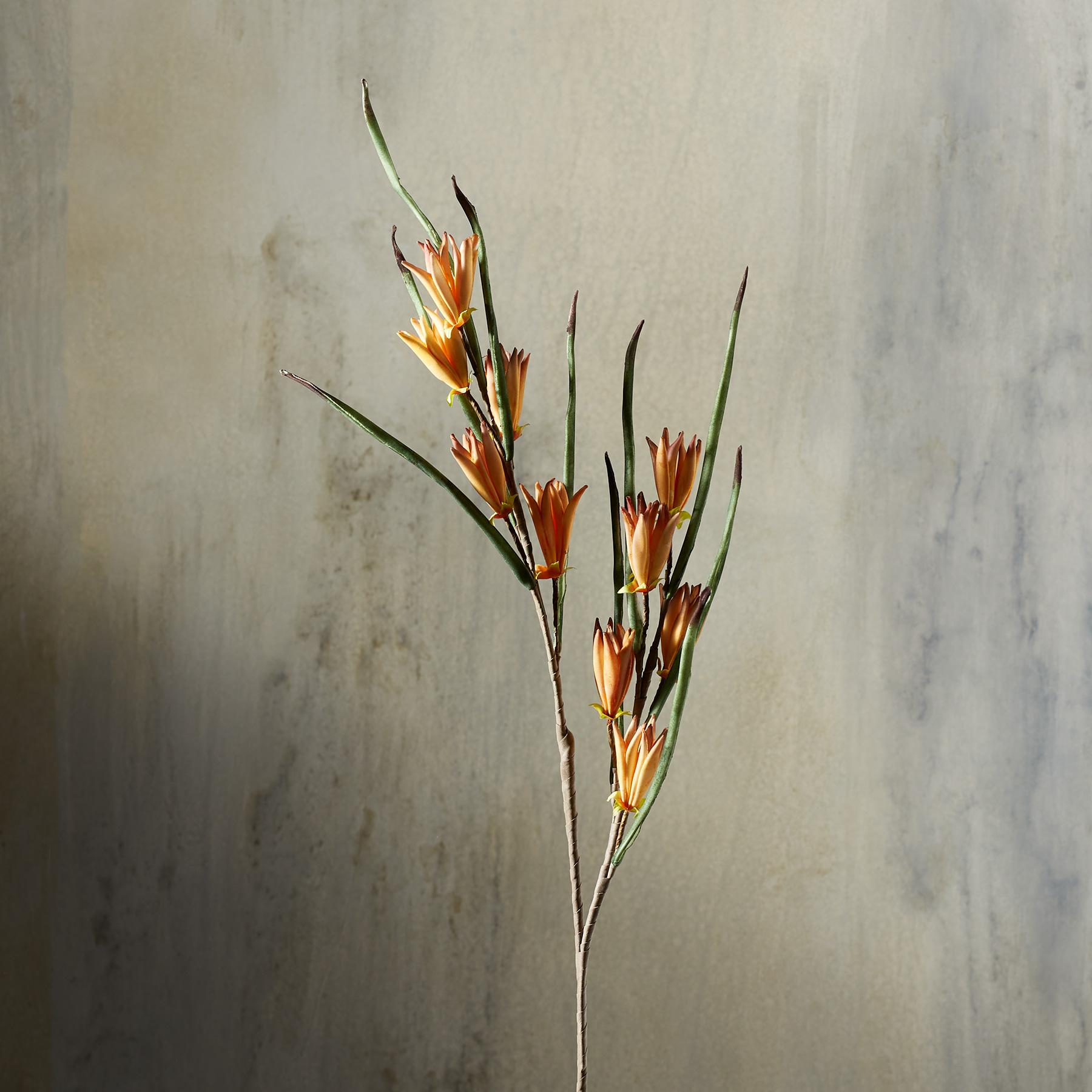 Bountiful Botanicals