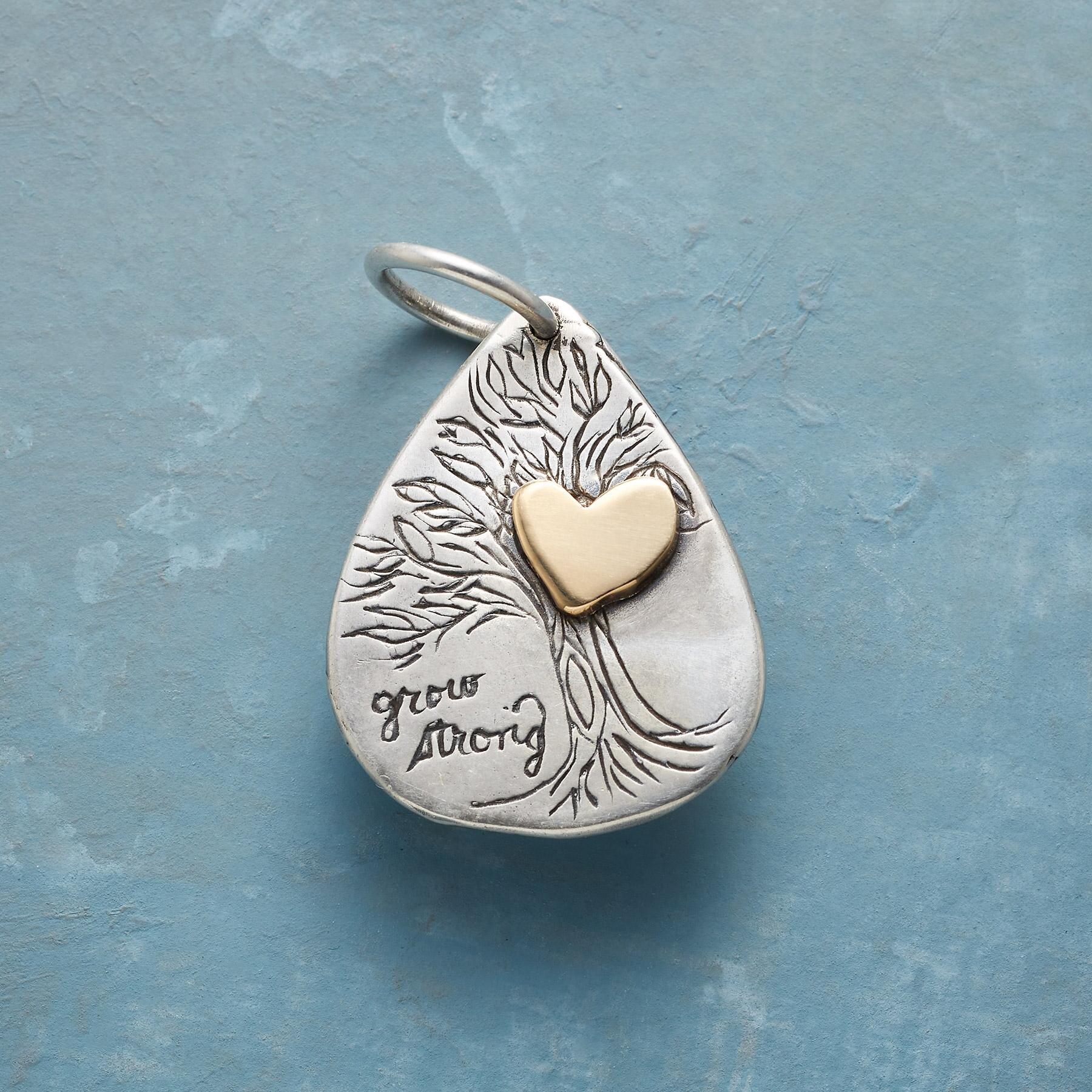 Abundance Of Life Charm