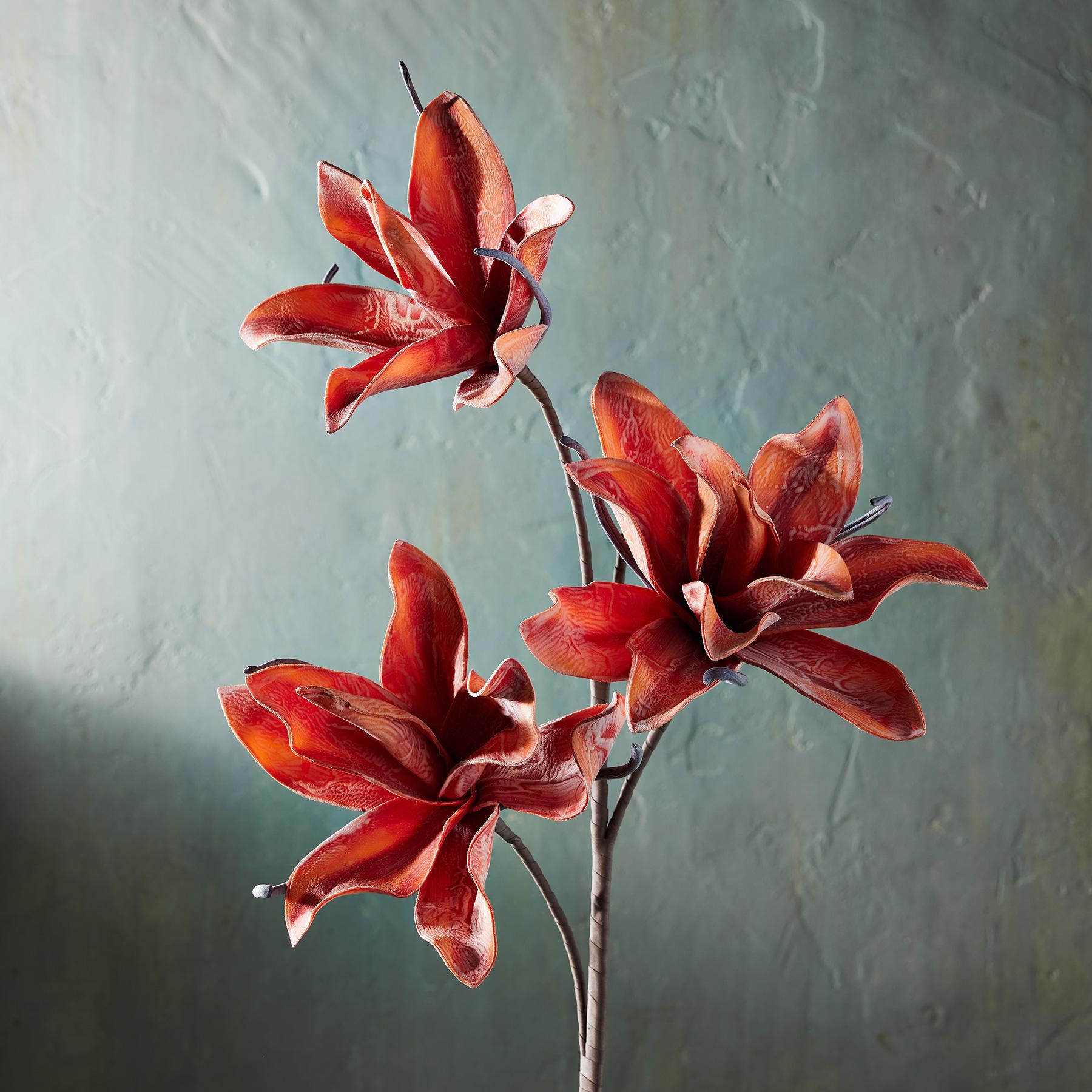 Bountiful Botanicals