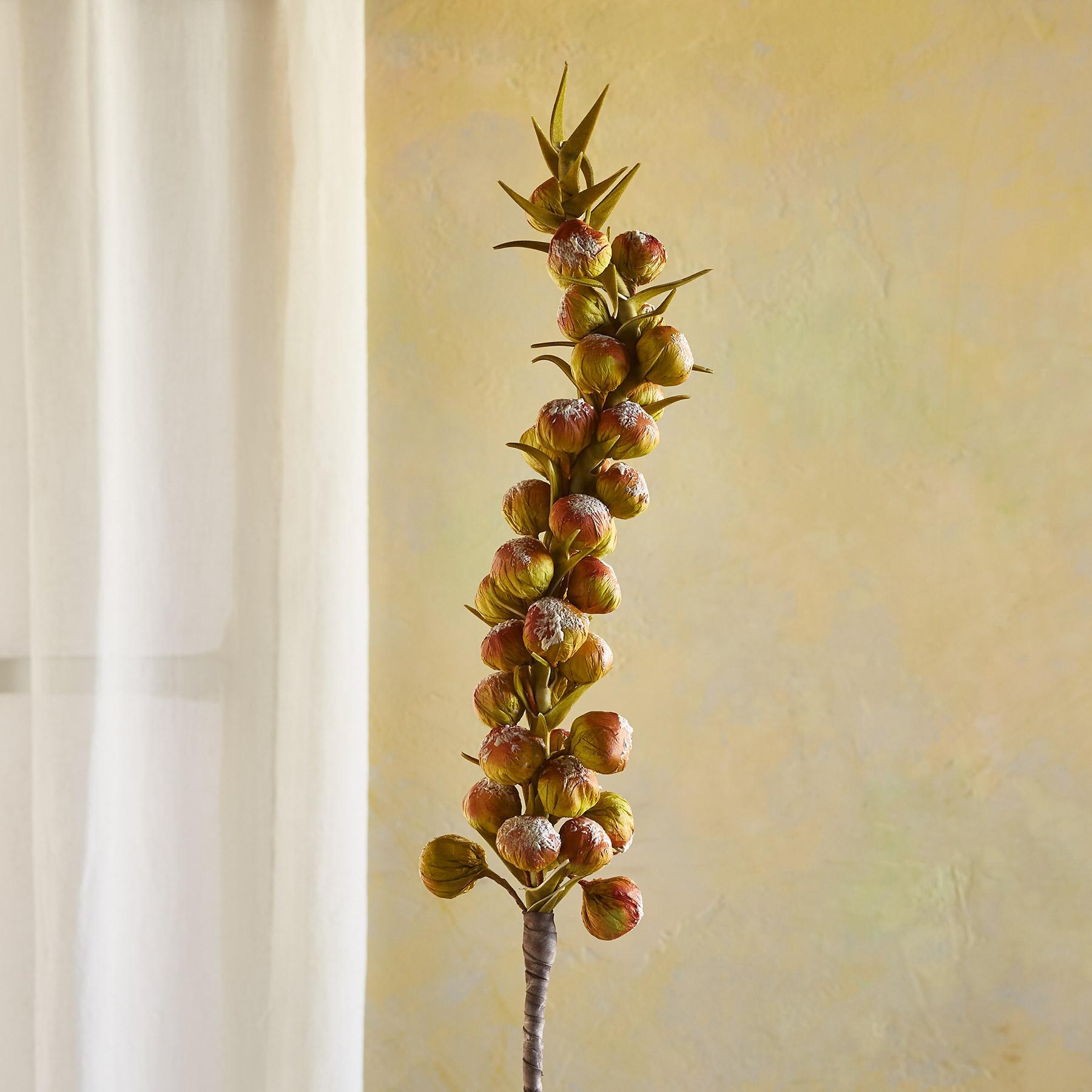 Bountiful Botanicals