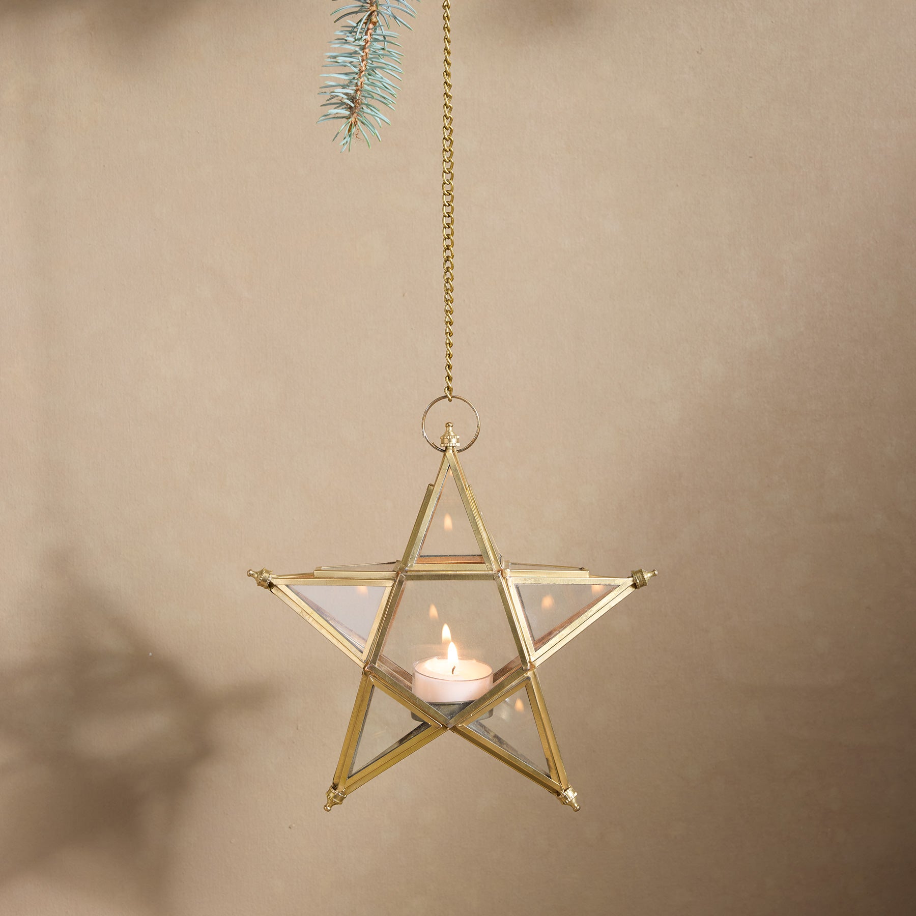 Starlit Wonder Luminary