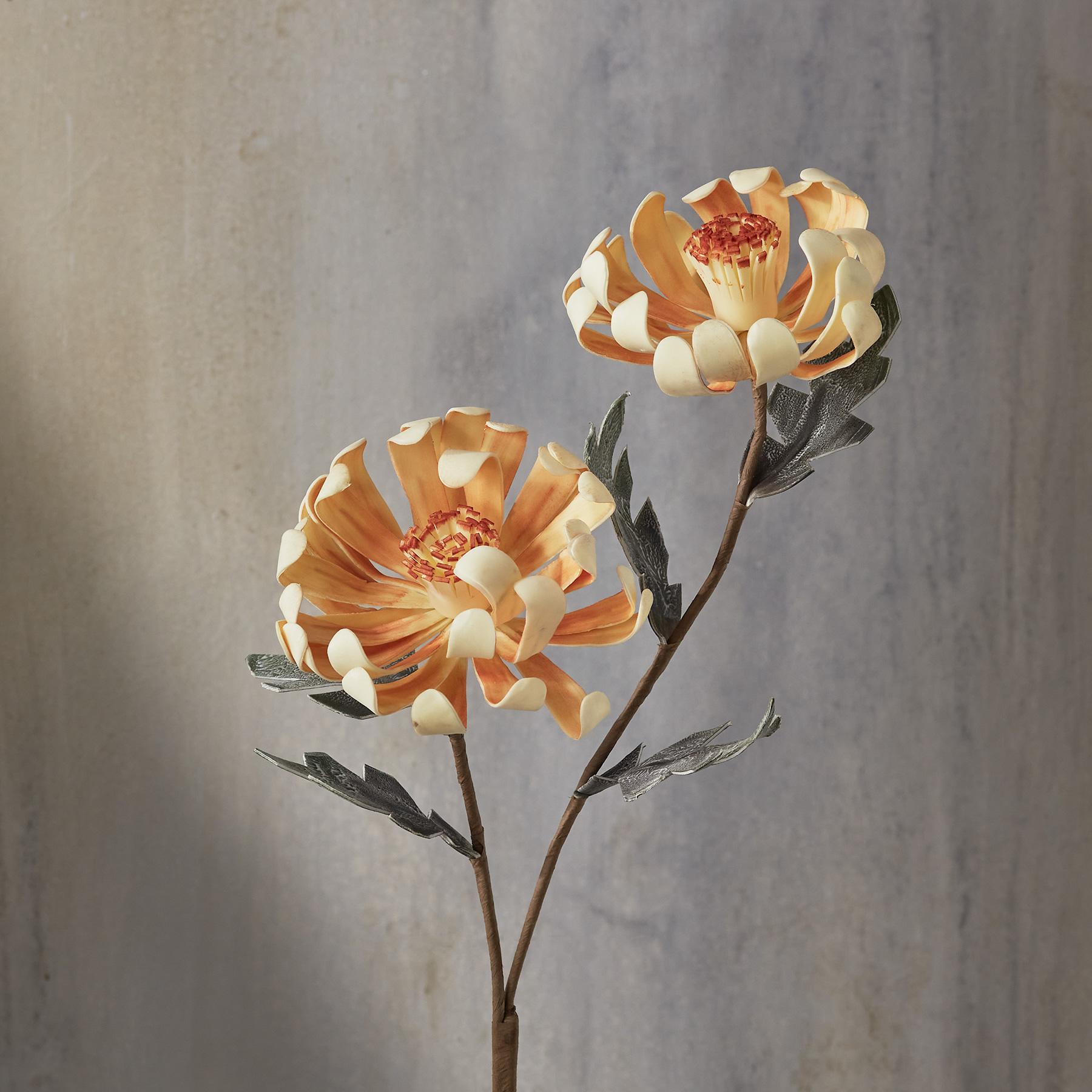 Bountiful Botanicals