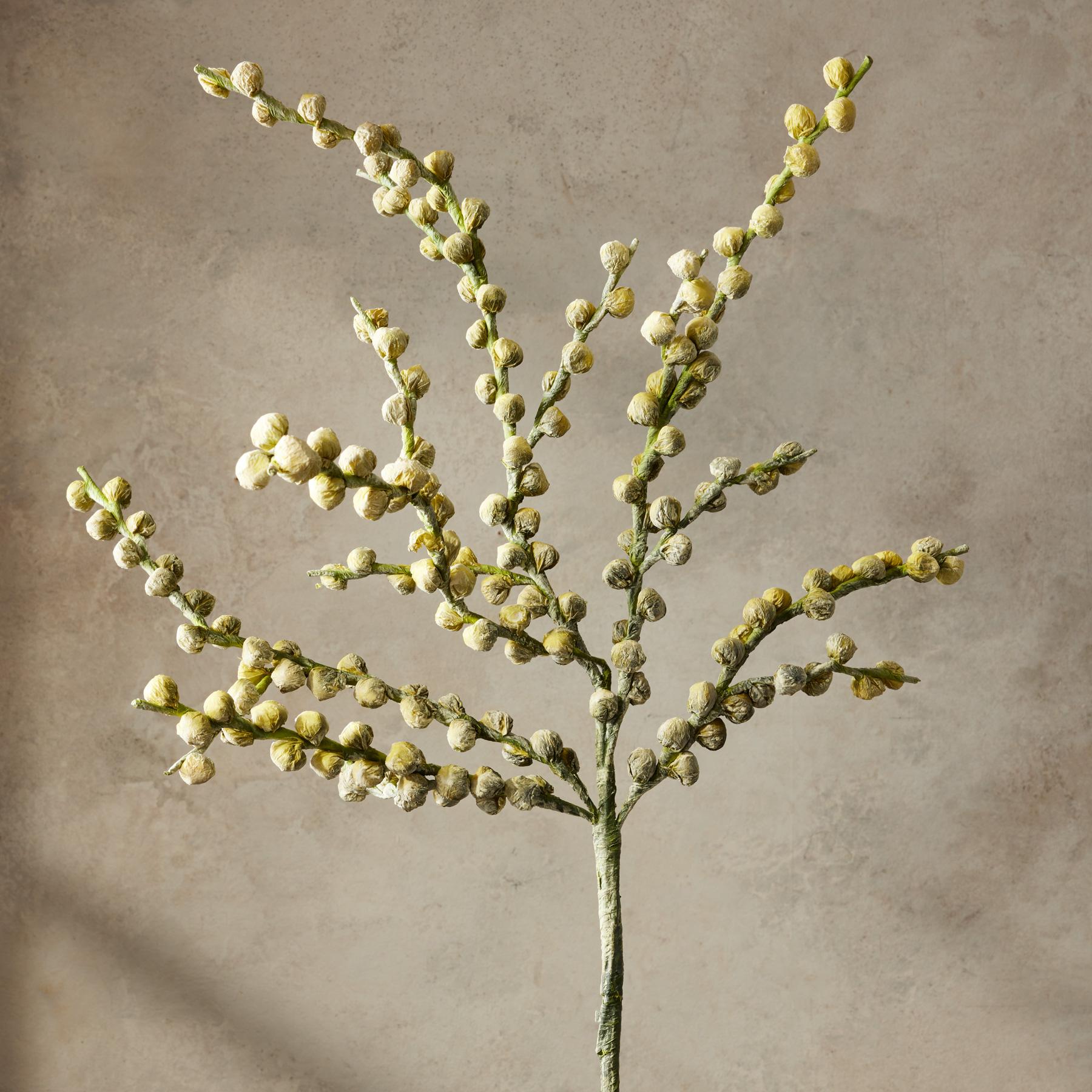 Bountiful Botanicals