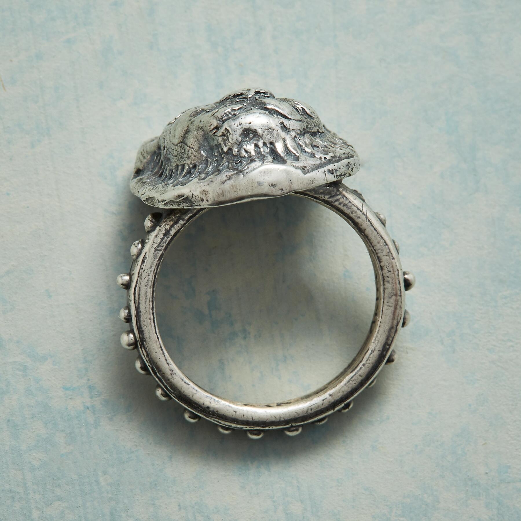 Courage And Truth Ring