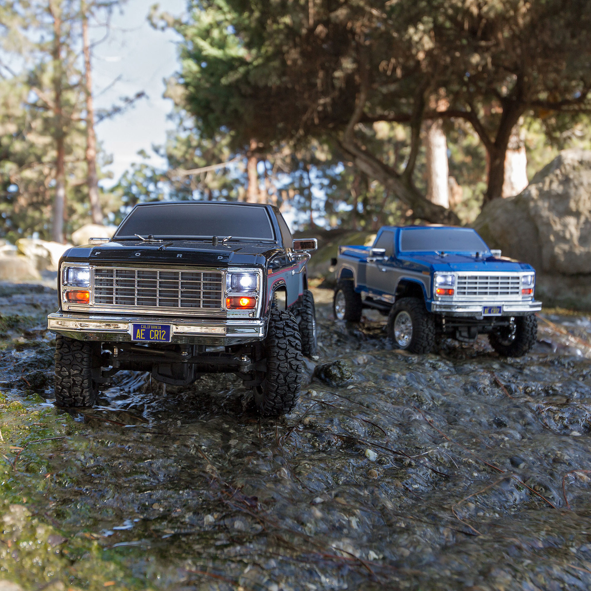 1/12 CR12 Ford F-150 Pick-Up 4WD Brushed RTR, Black