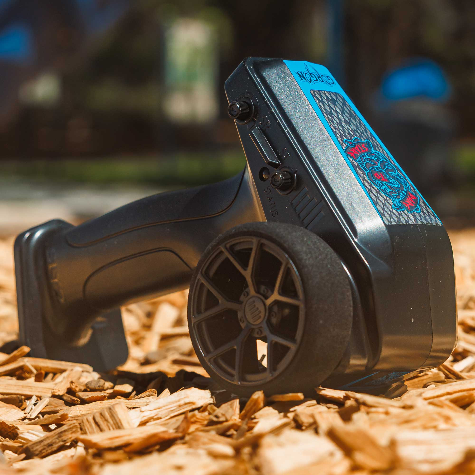 1/10 ARRMA GORGON (Battery & Charger Included)