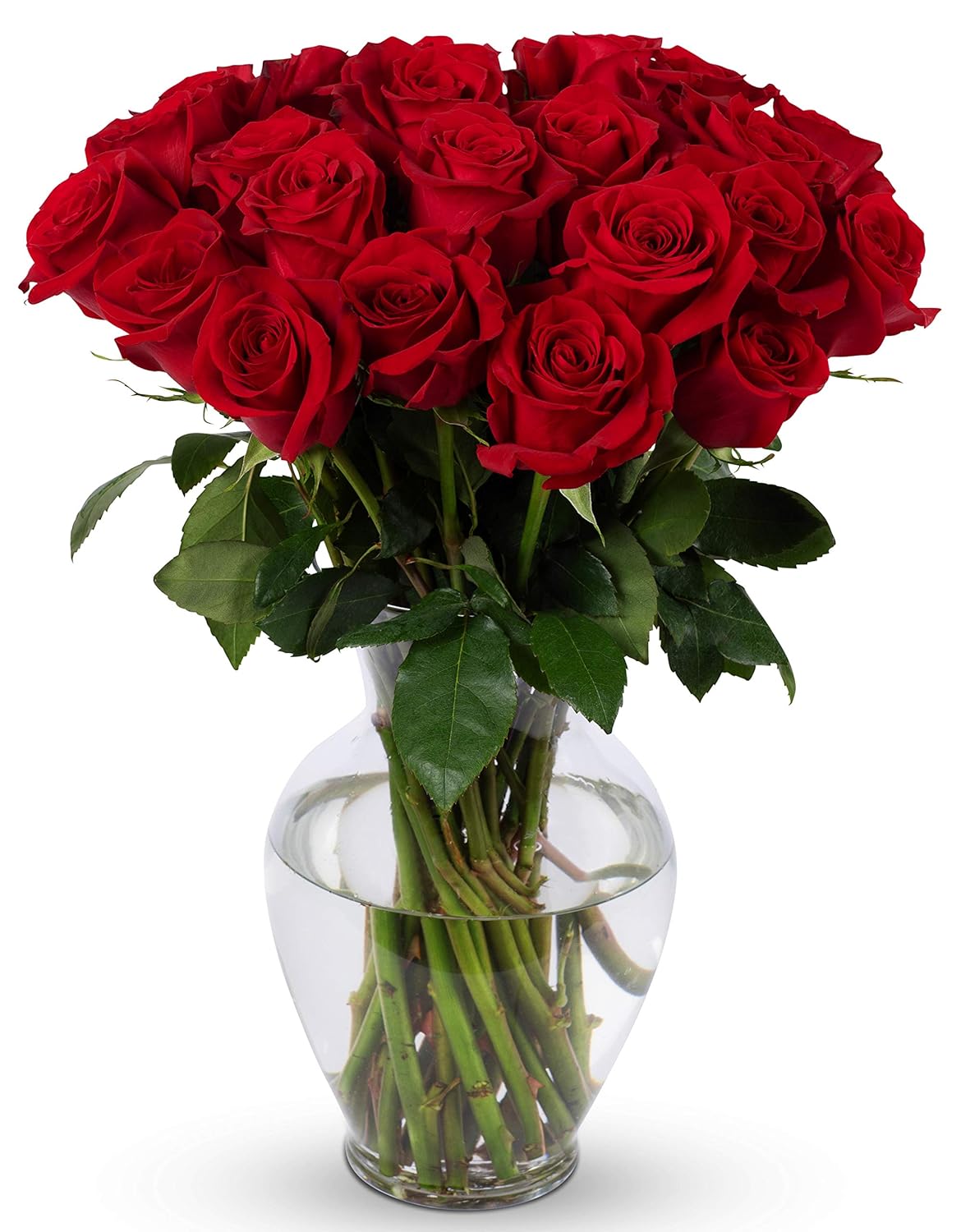 Benchmark Bouquets - 24 Stem Premium Rainbow Roses (Glass Vase Included) - Fresh Flowers for Delivery - Gift for Graduation. Birthday. Anniversary. Sympathy. Get Well. Congratulations