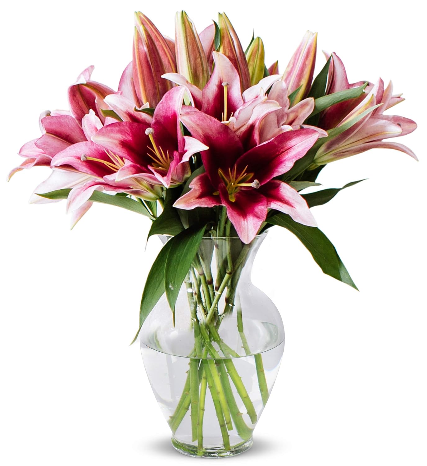 Benchmark Bouquets - 8 Stem Pink Oriental Lilies (Glass Vase Included) - Fresh Flowers for Delivery - Gift for Graduation. Birthday. Anniversary. Sympathy. Get Well. Congratulations