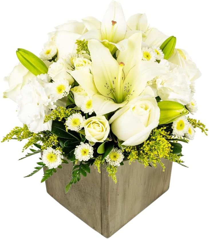 Serenity | White. Cream Fresh Flower Arrangement with Vase | Arabella Bouquets | Flowers for Delivery. Sympathy