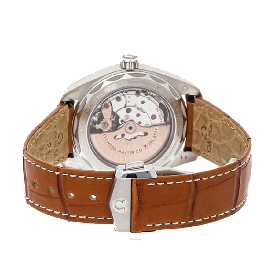 Omega Seamaster Aqua Terra Worldtimer Platinum Silver Dial