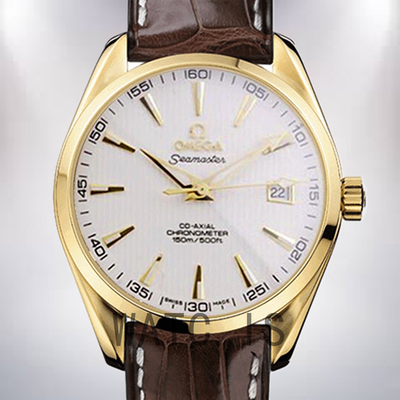 Omega Seamaster 41mm Men SeamasterWSL-004 Automatic Leather Strap