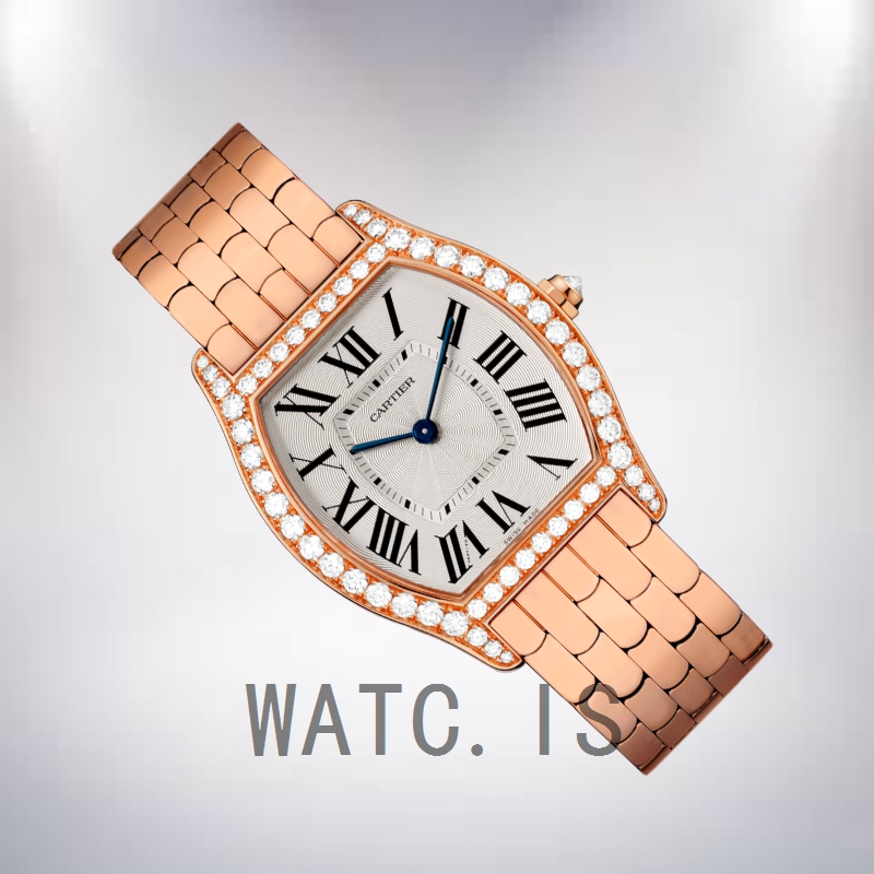 Cartier Tortue WA501012 Ladies 30mm White Dial