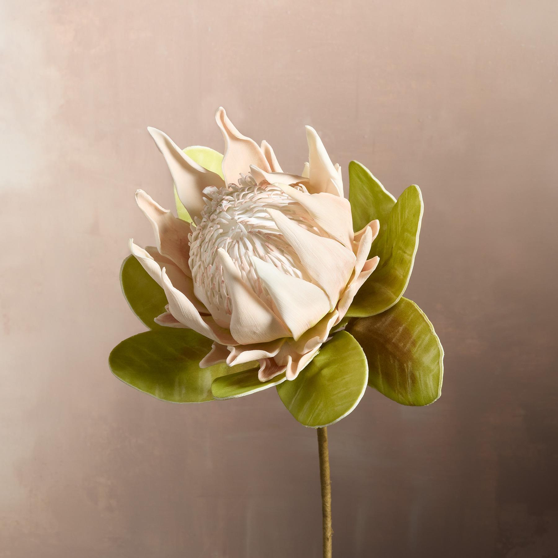 Bountiful Botanicals