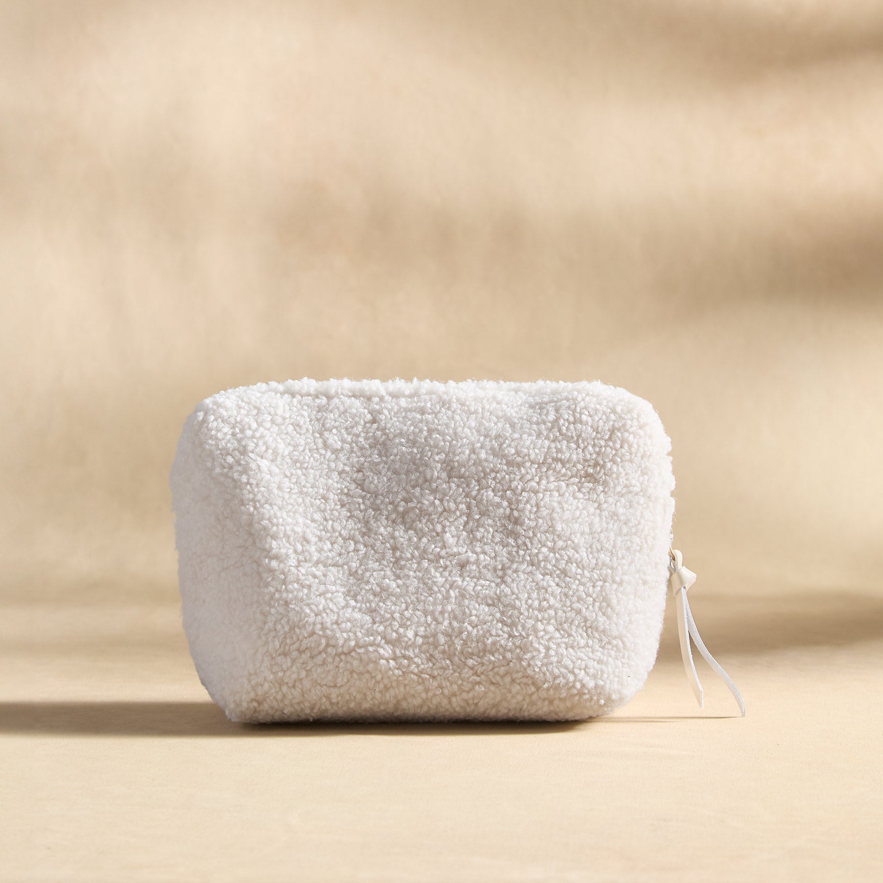 Apres Sherpa Pouch
