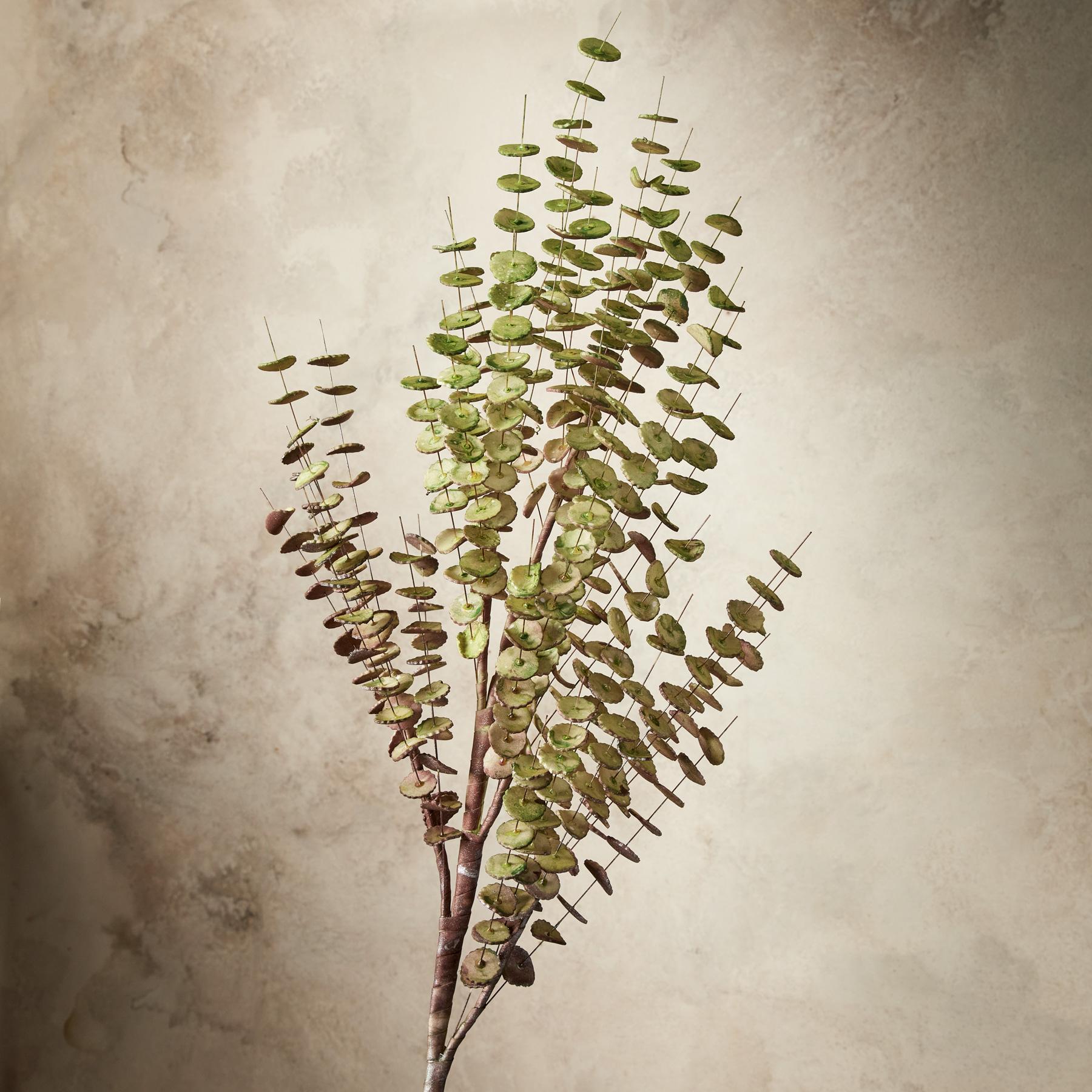 Bountiful Botanicals