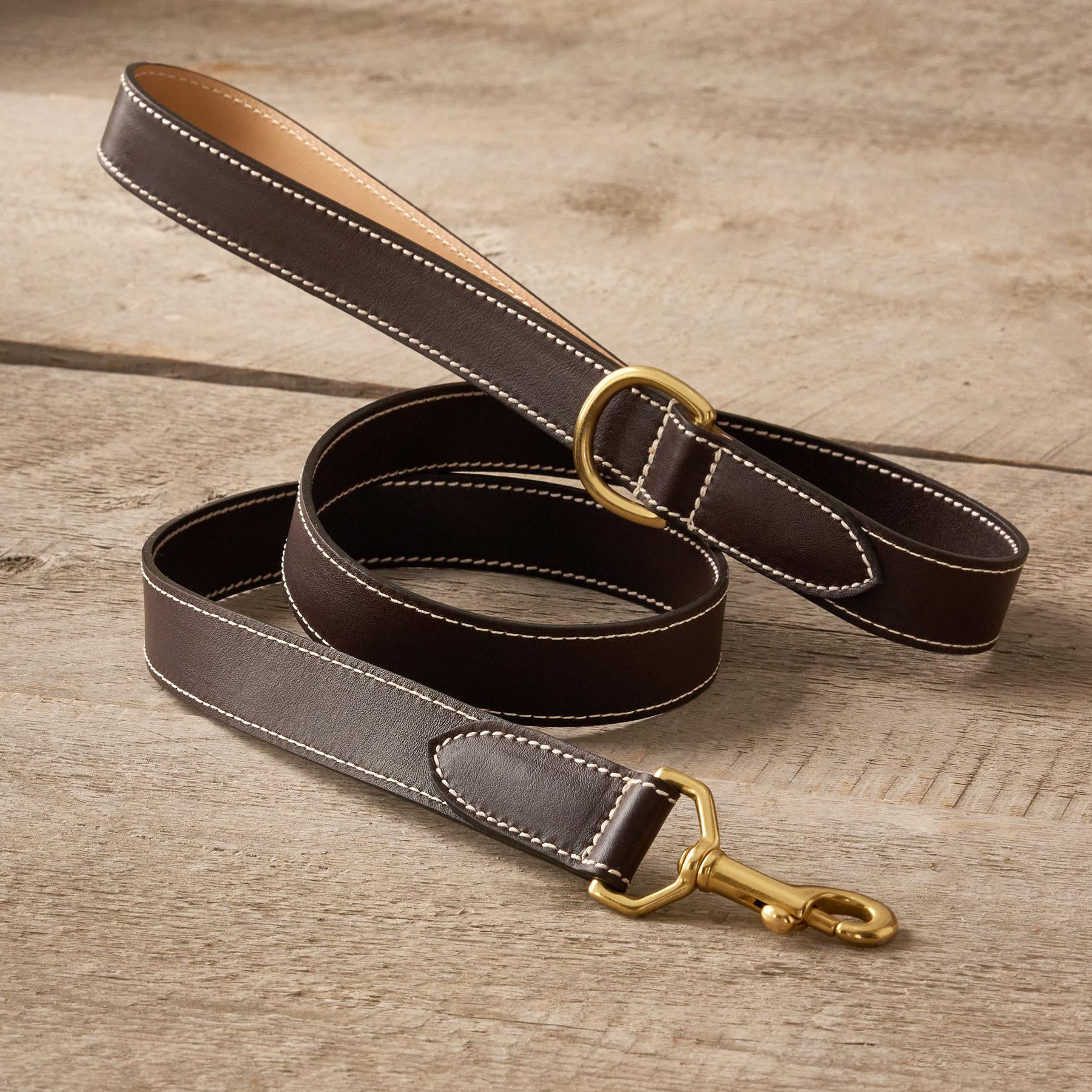 Shiloh 47in City Leash | Sundance Outlet
