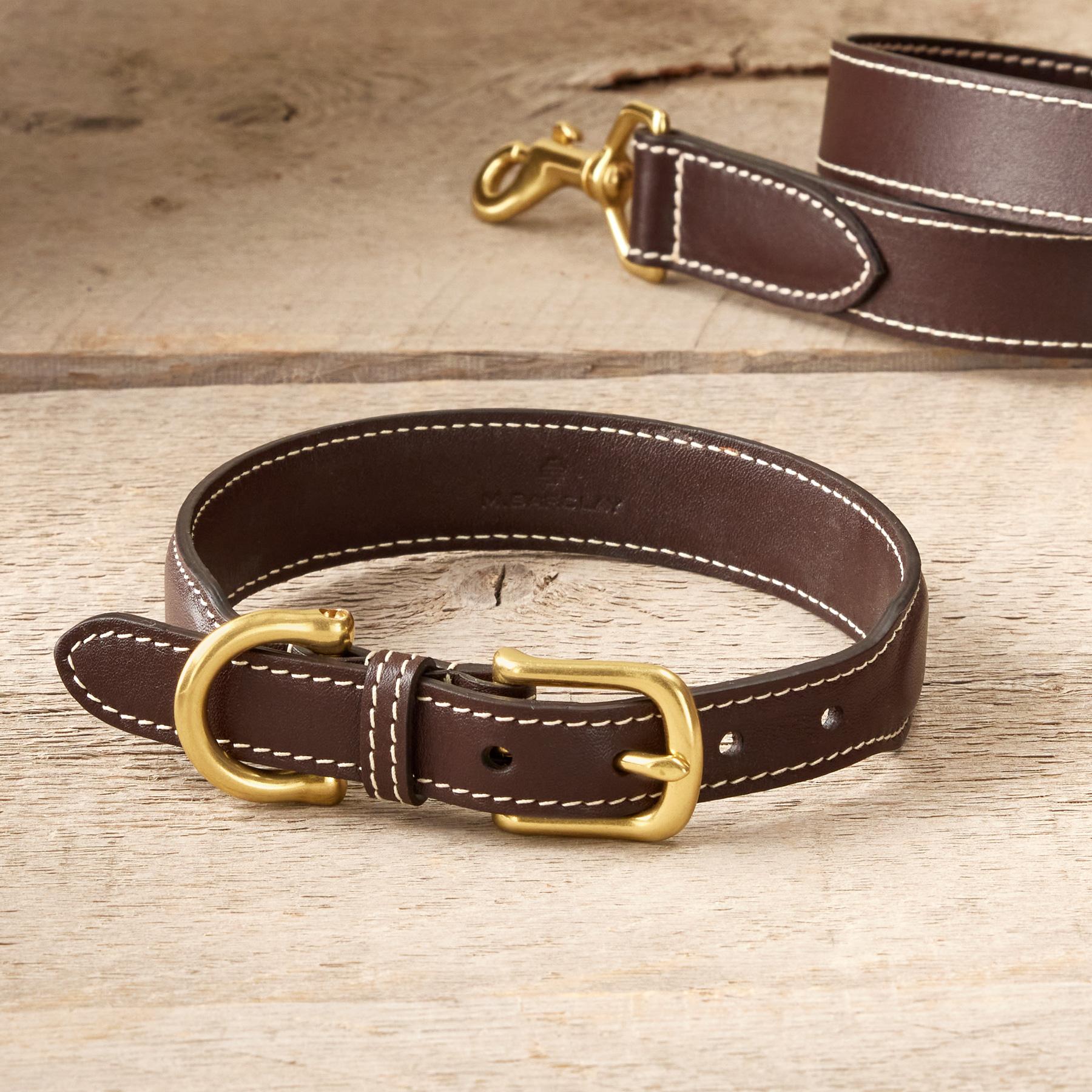 Sporty Dog Collar | Sundance Outlet