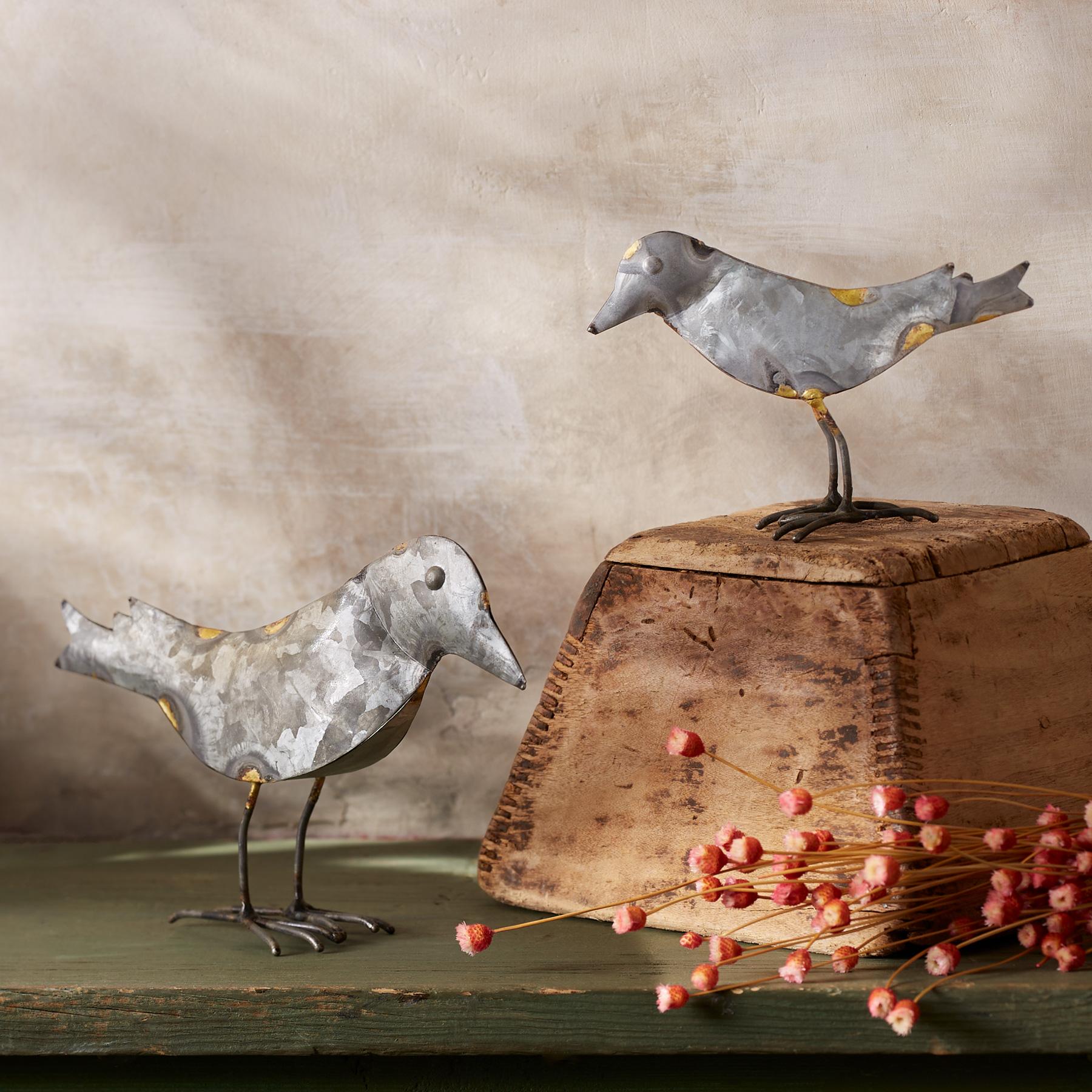 Bird's Eye View Set - Sundance Catalog