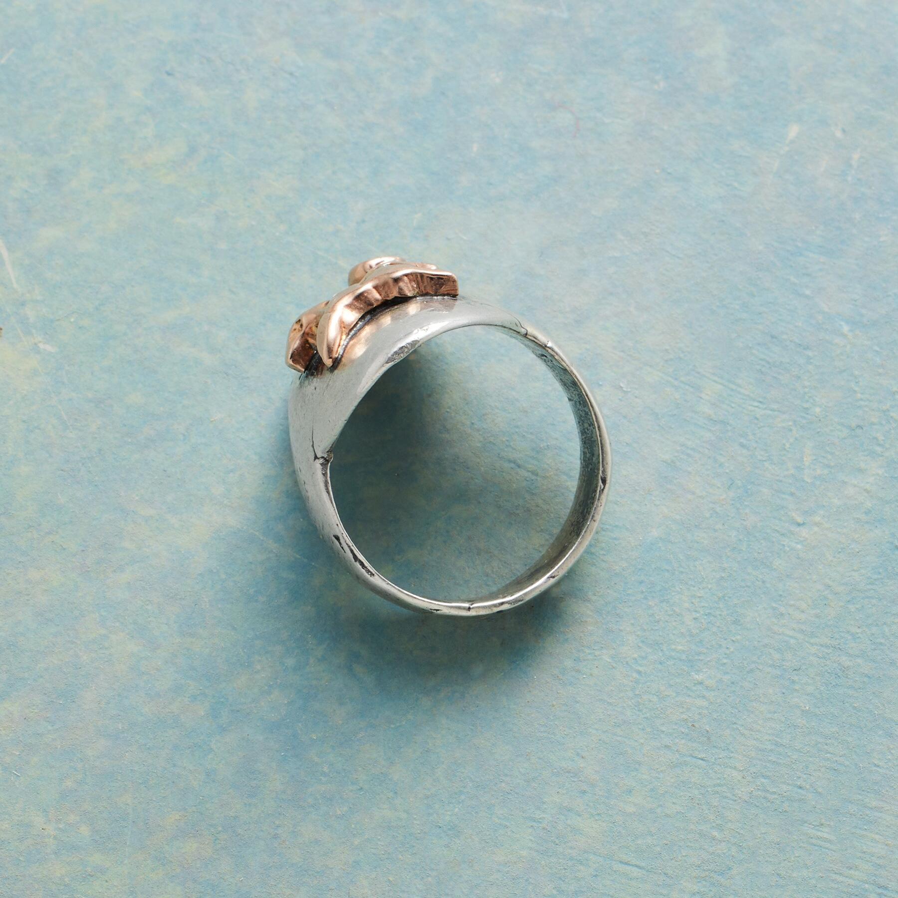 Wild Spirit Ring | Sundance Outlet