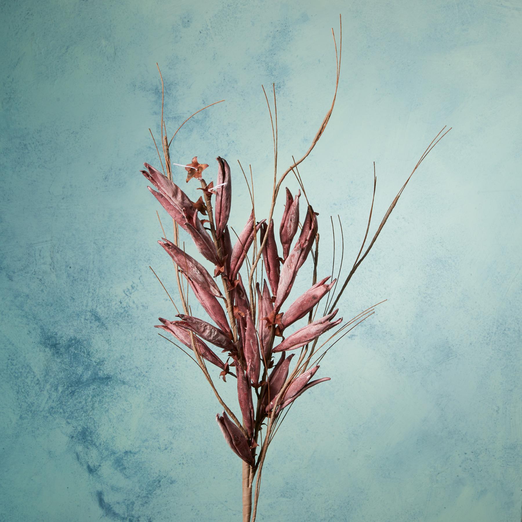 Bountiful Botanicals