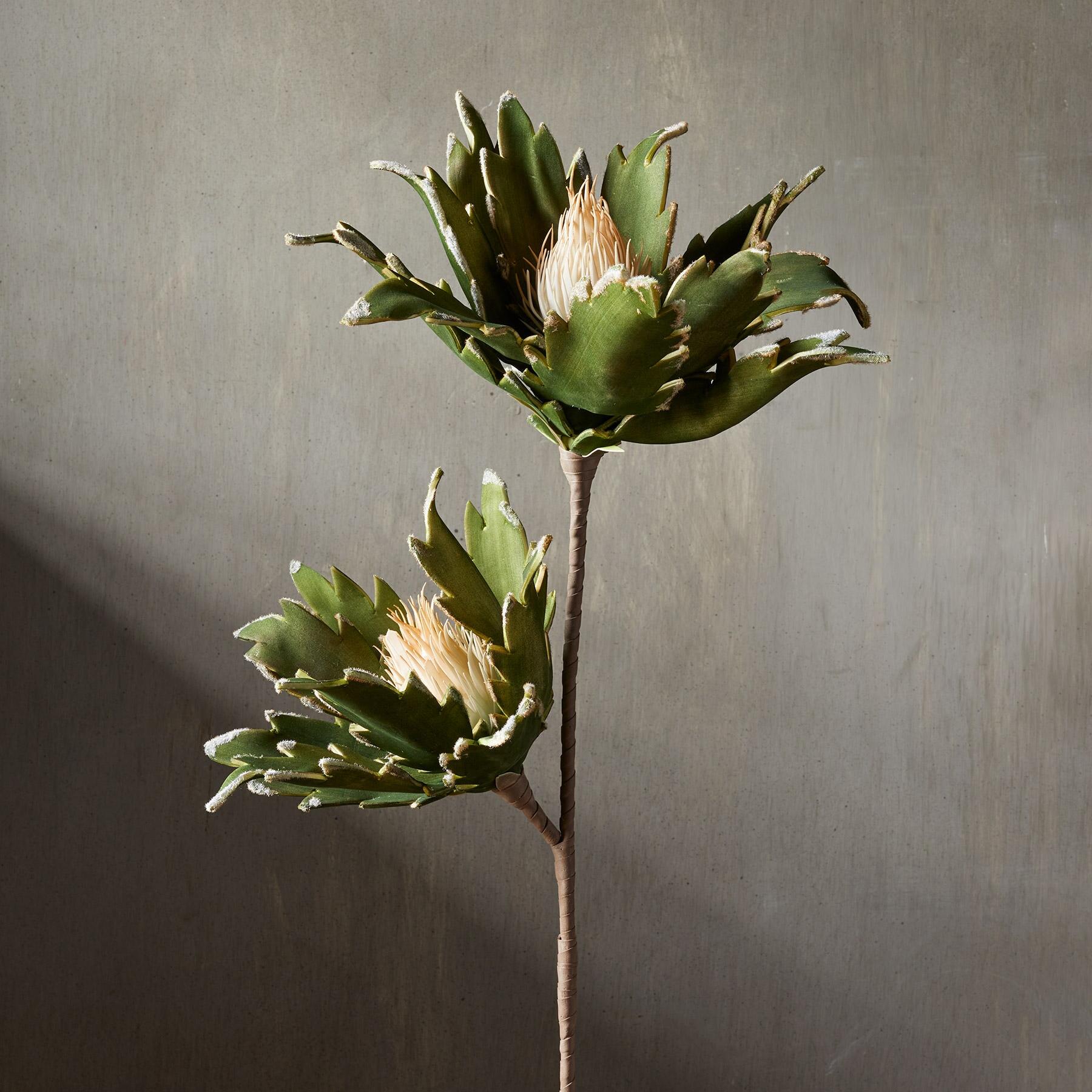 Bountiful Botanicals