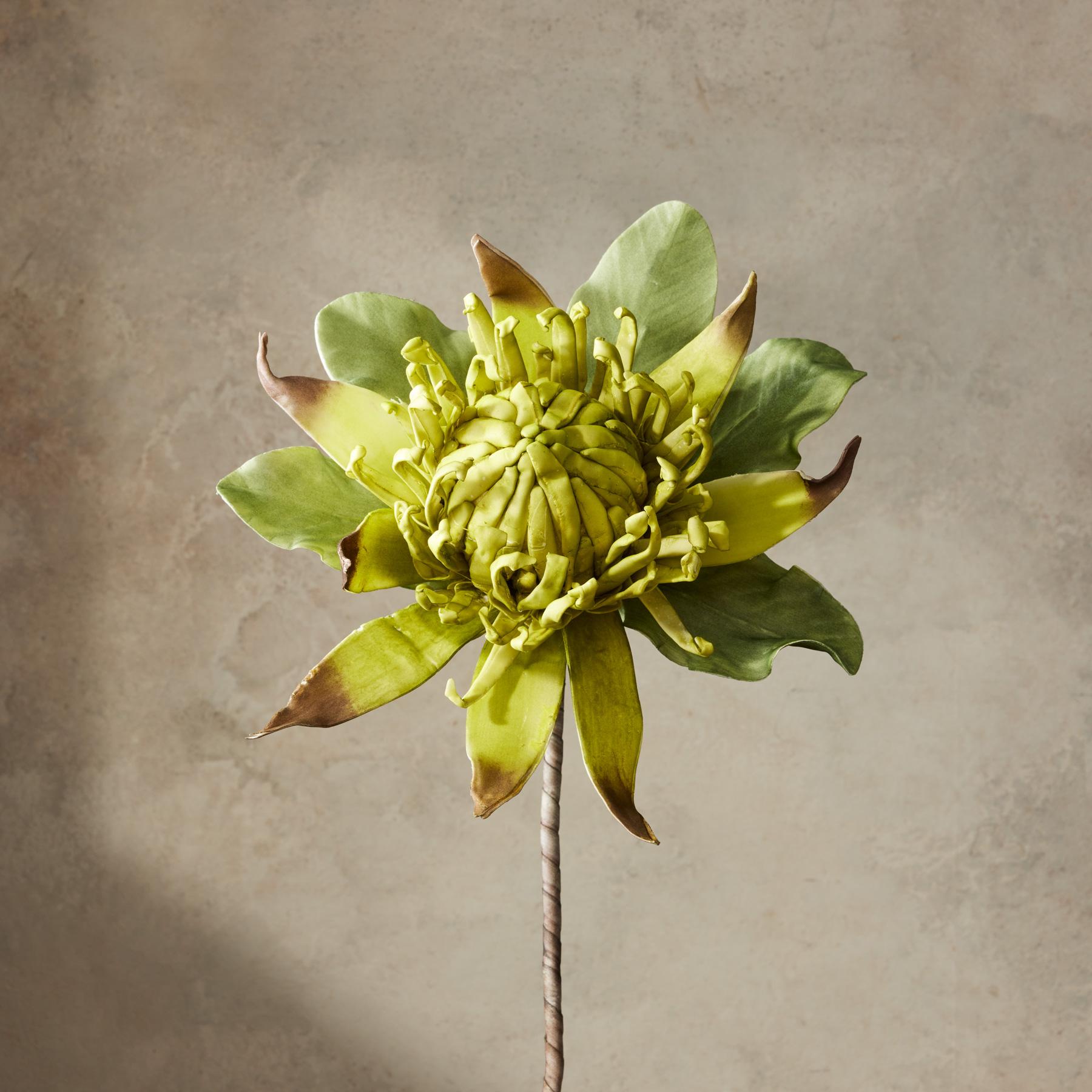 Bountiful Botanicals