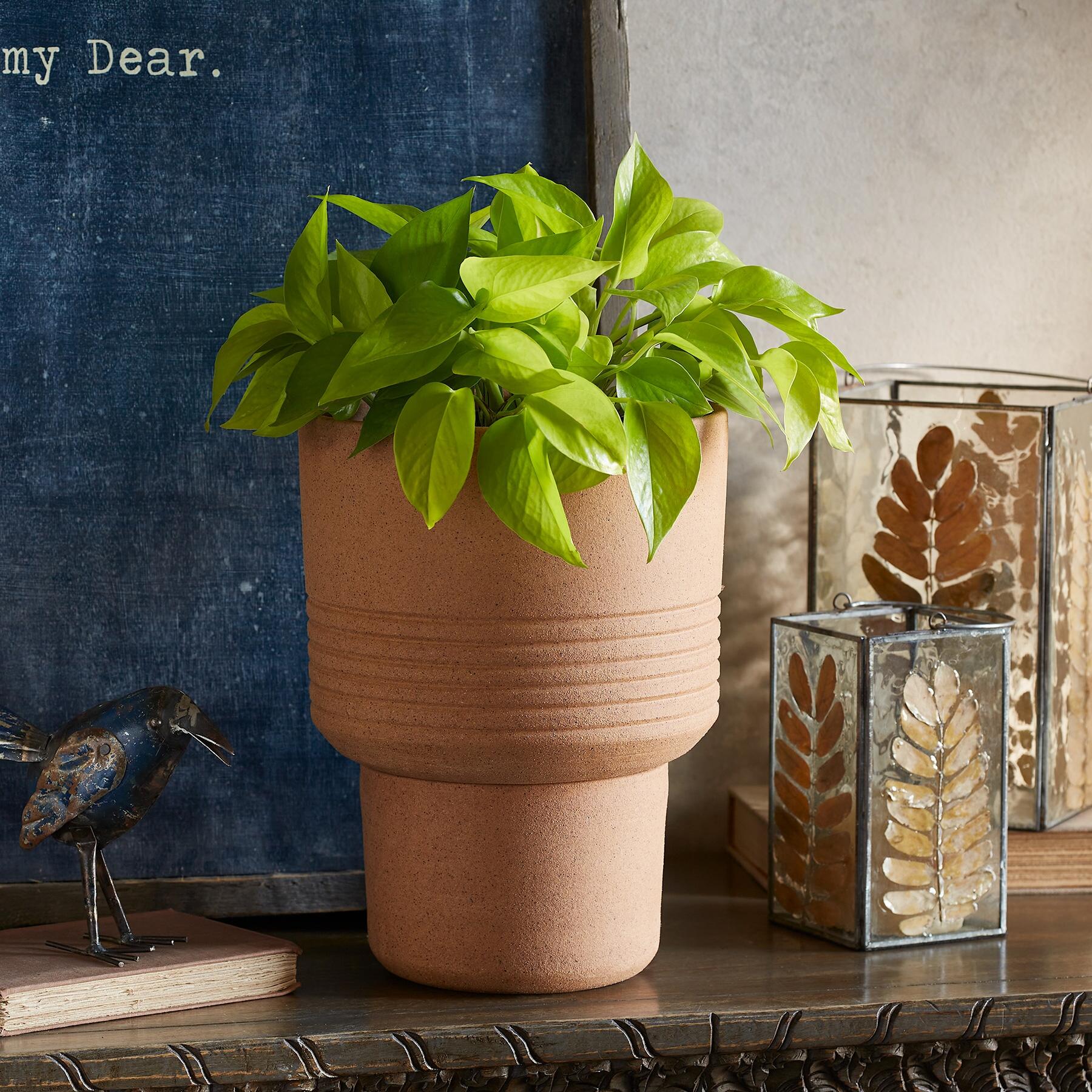 Local Roots Planter