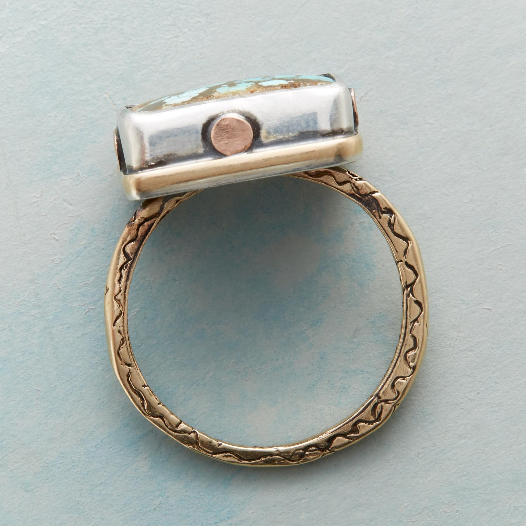 Riveting Turquoise Ring - Sundance Catalog