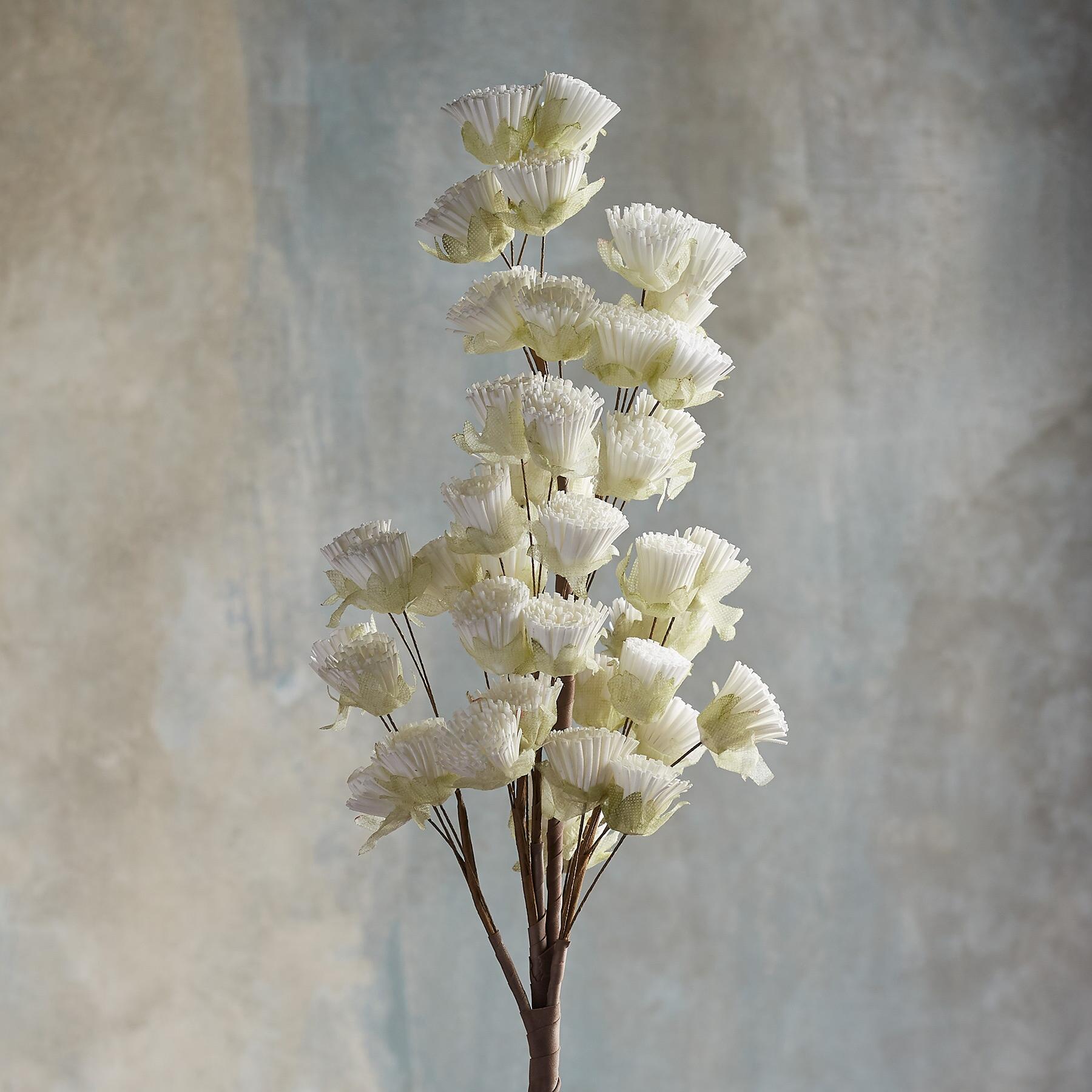 Bountiful Botanicals