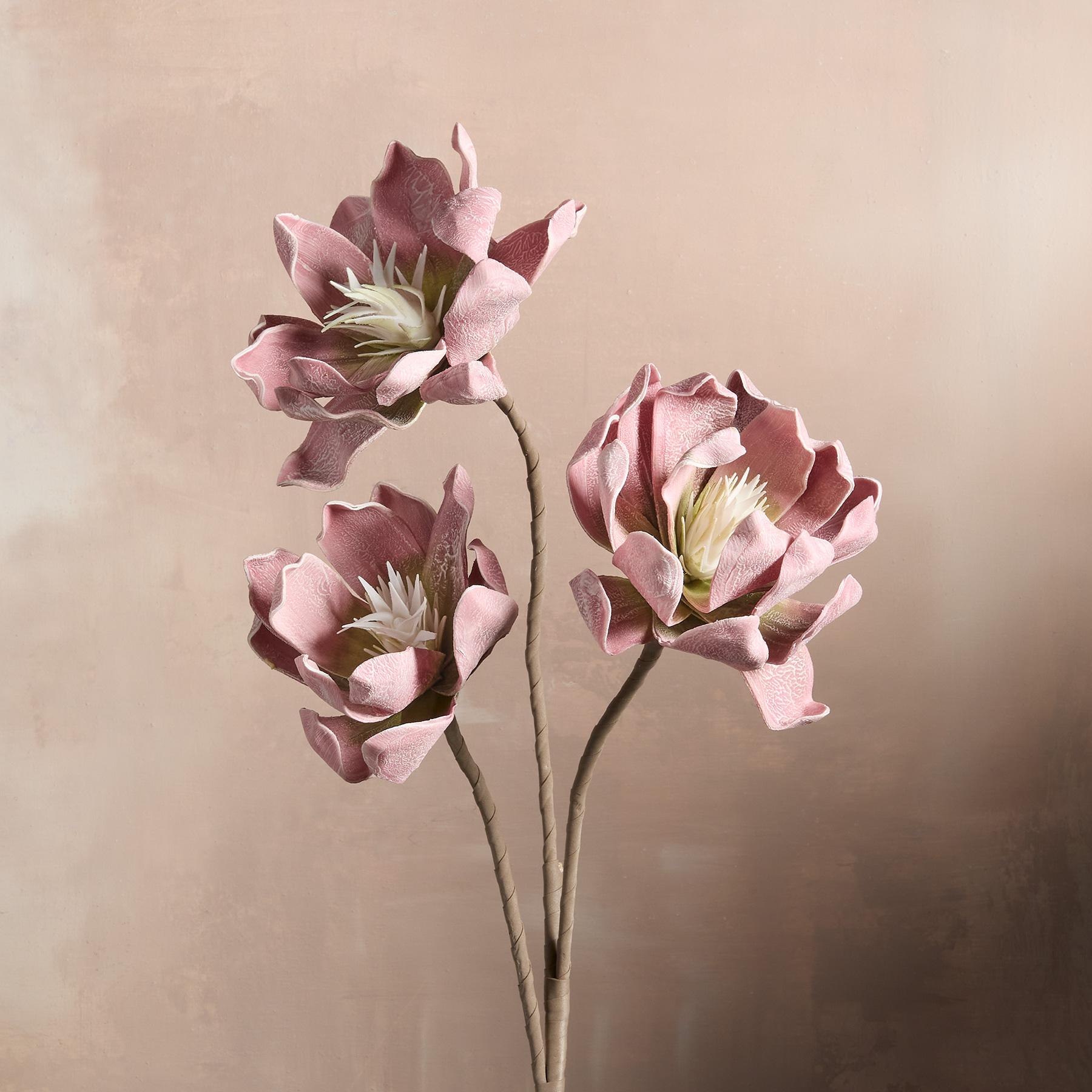 Bountiful Botanicals