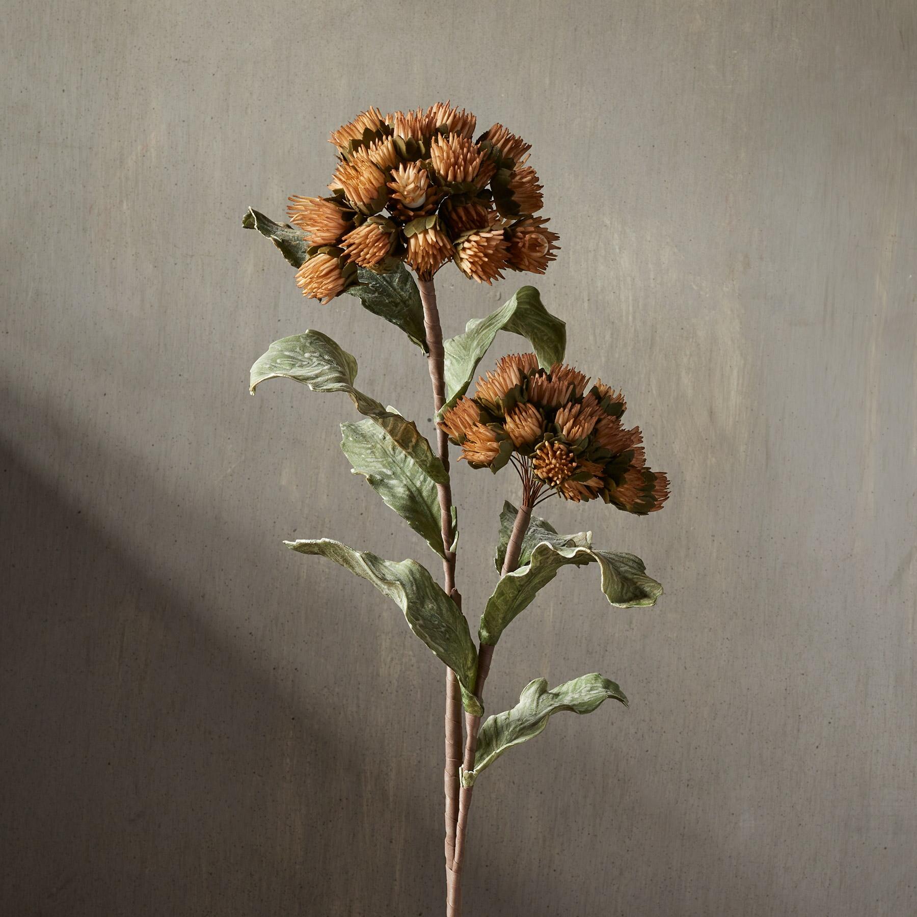 Bountiful Botanicals