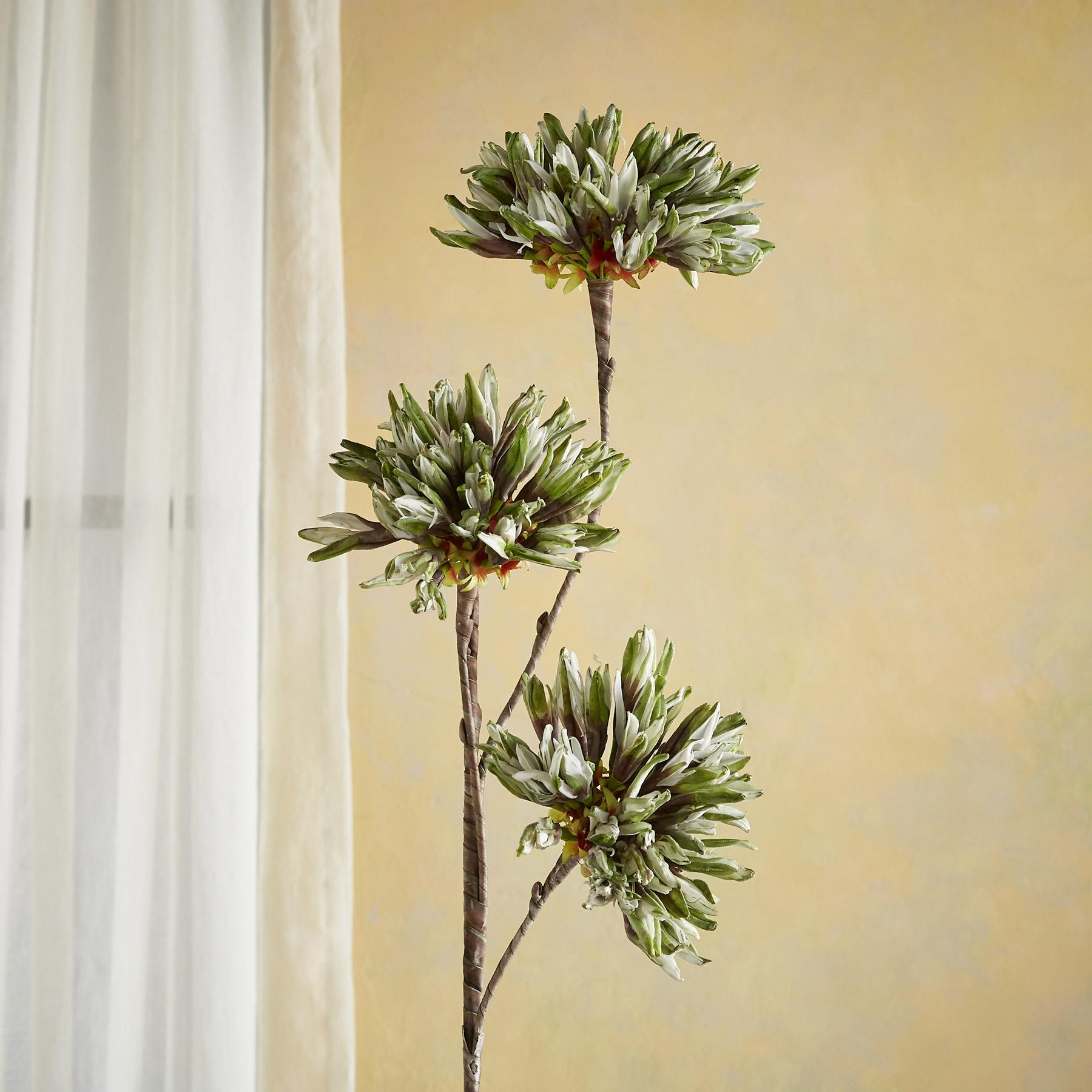 Bountiful Botanicals