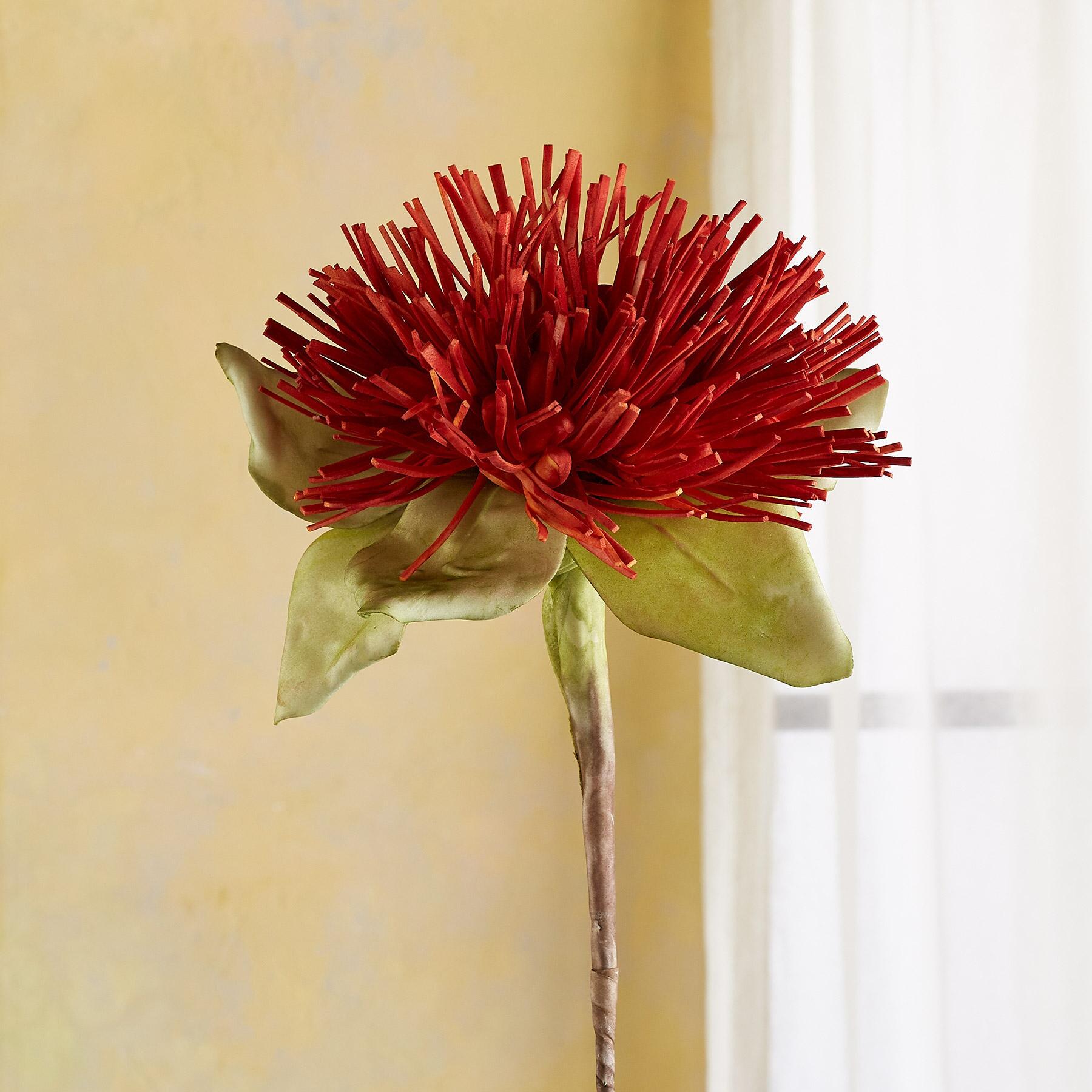 Bountiful Botanicals