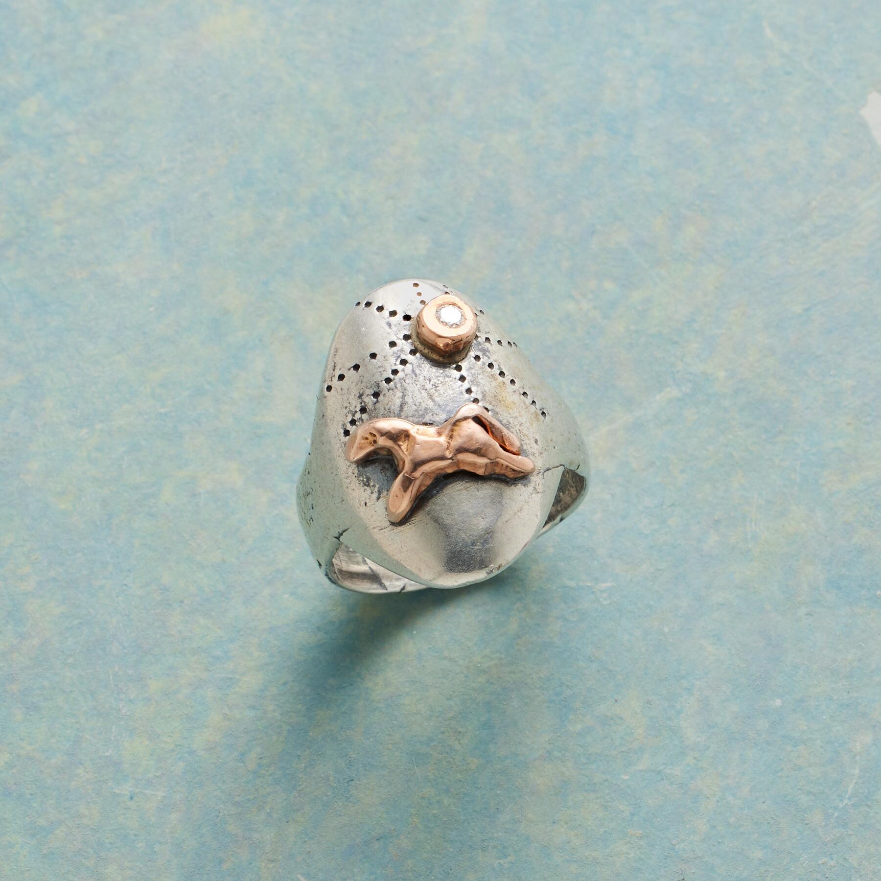 Wild Spirit Ring | Sundance Outlet