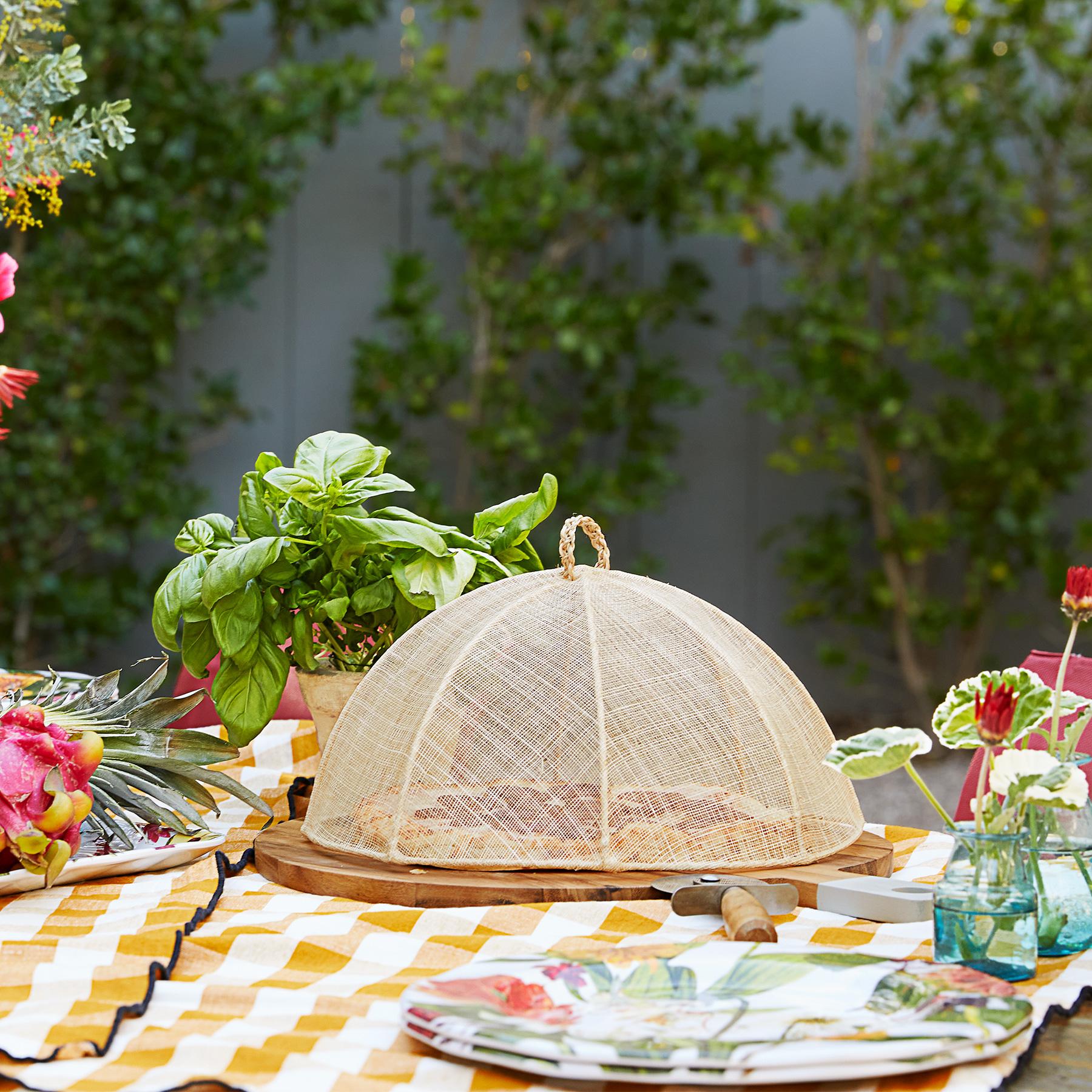 Sinamay Food Covers Set | Sundance Outlet