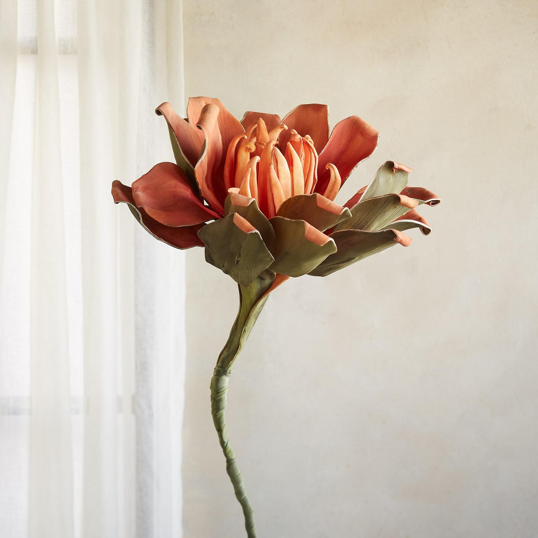 Bountiful Botanicals