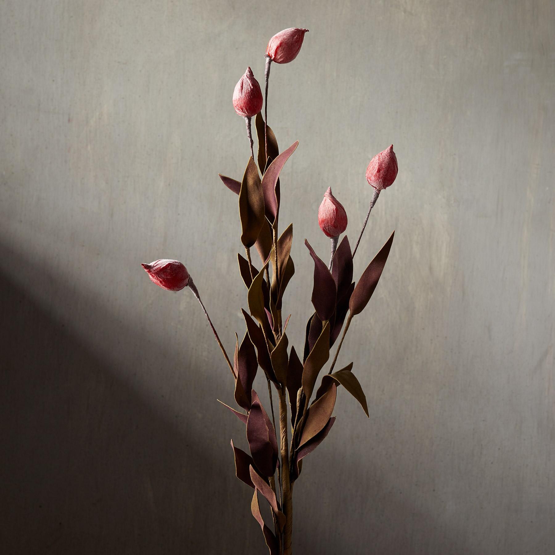 Bountiful Botanicals