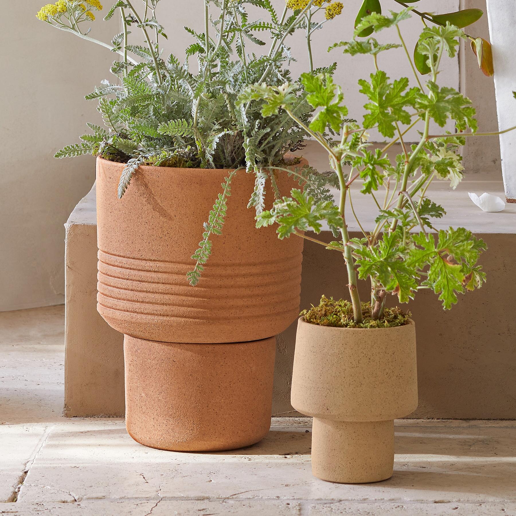 Local Roots Planter