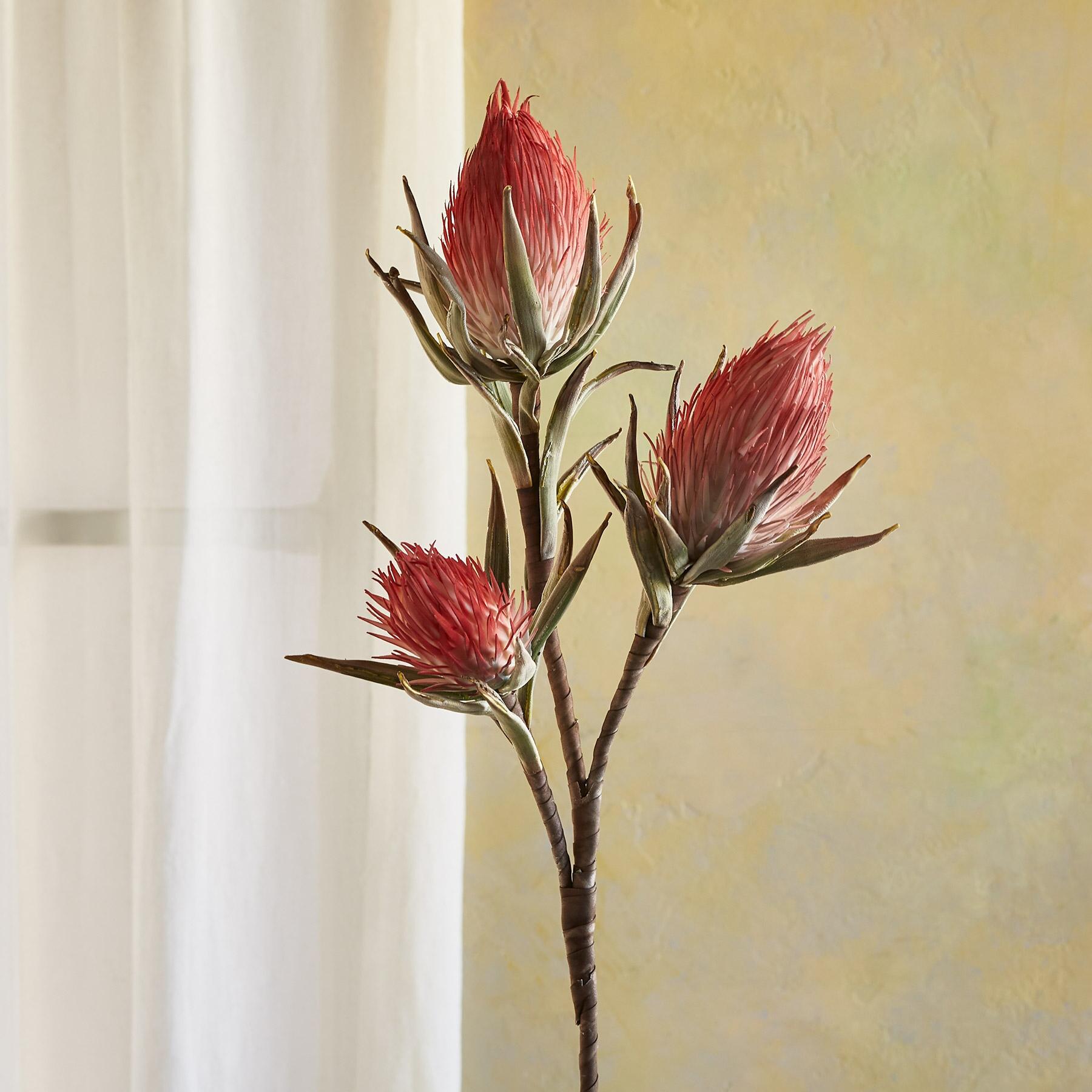 Bountiful Botanicals