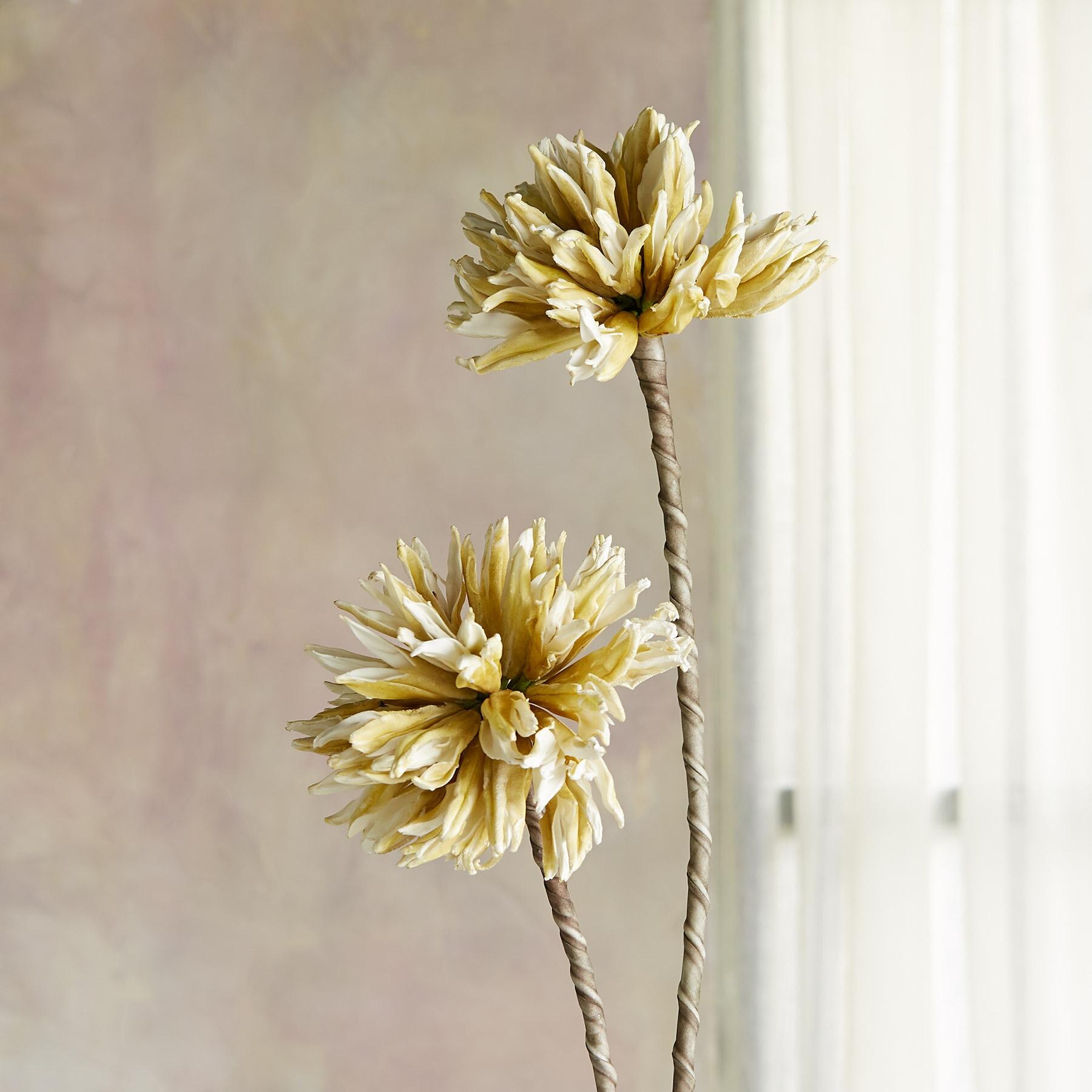 Bountiful Botanicals