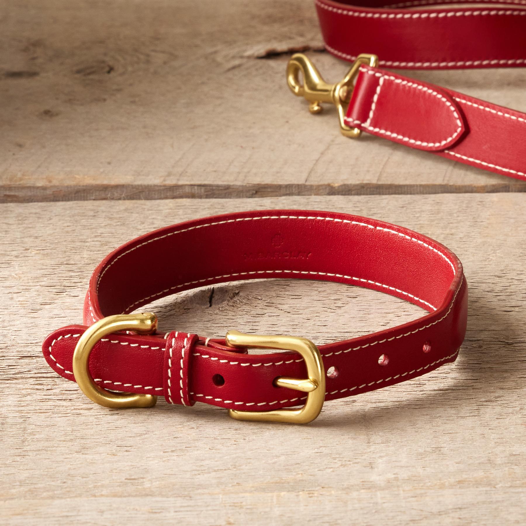 Sporty Dog Collar | Sundance Outlet