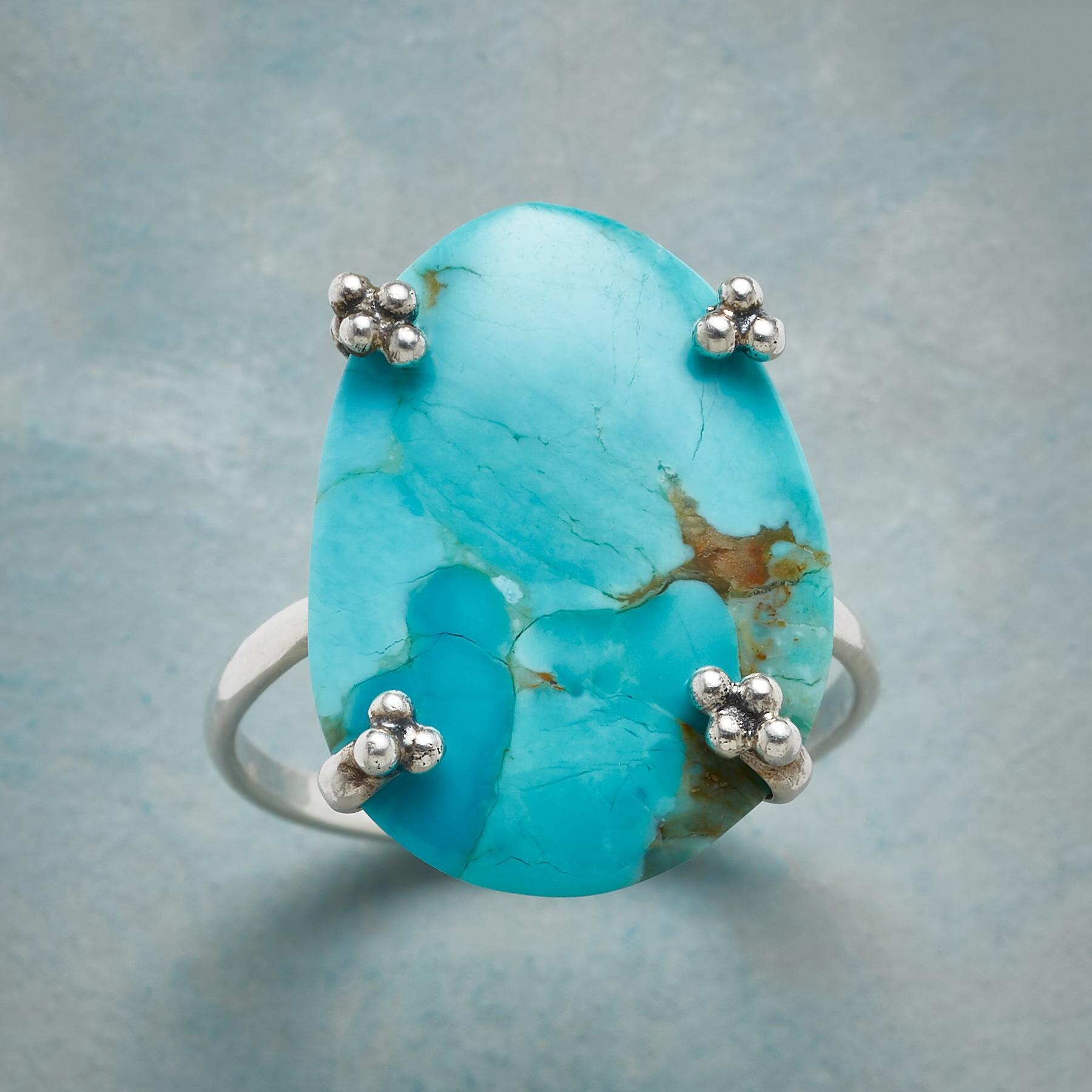 Winterlake Ring | Sundance Outlet