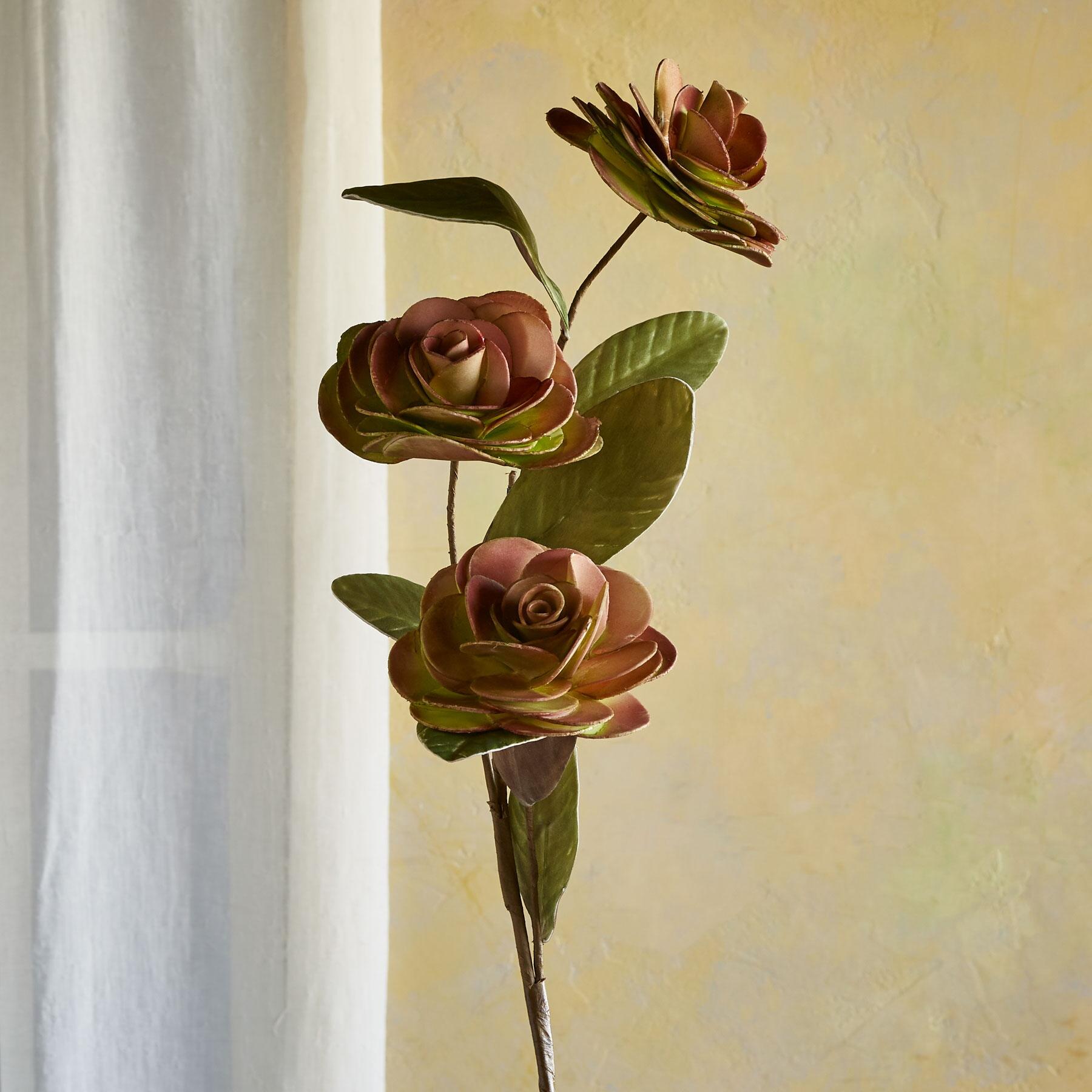 Bountiful Botanicals