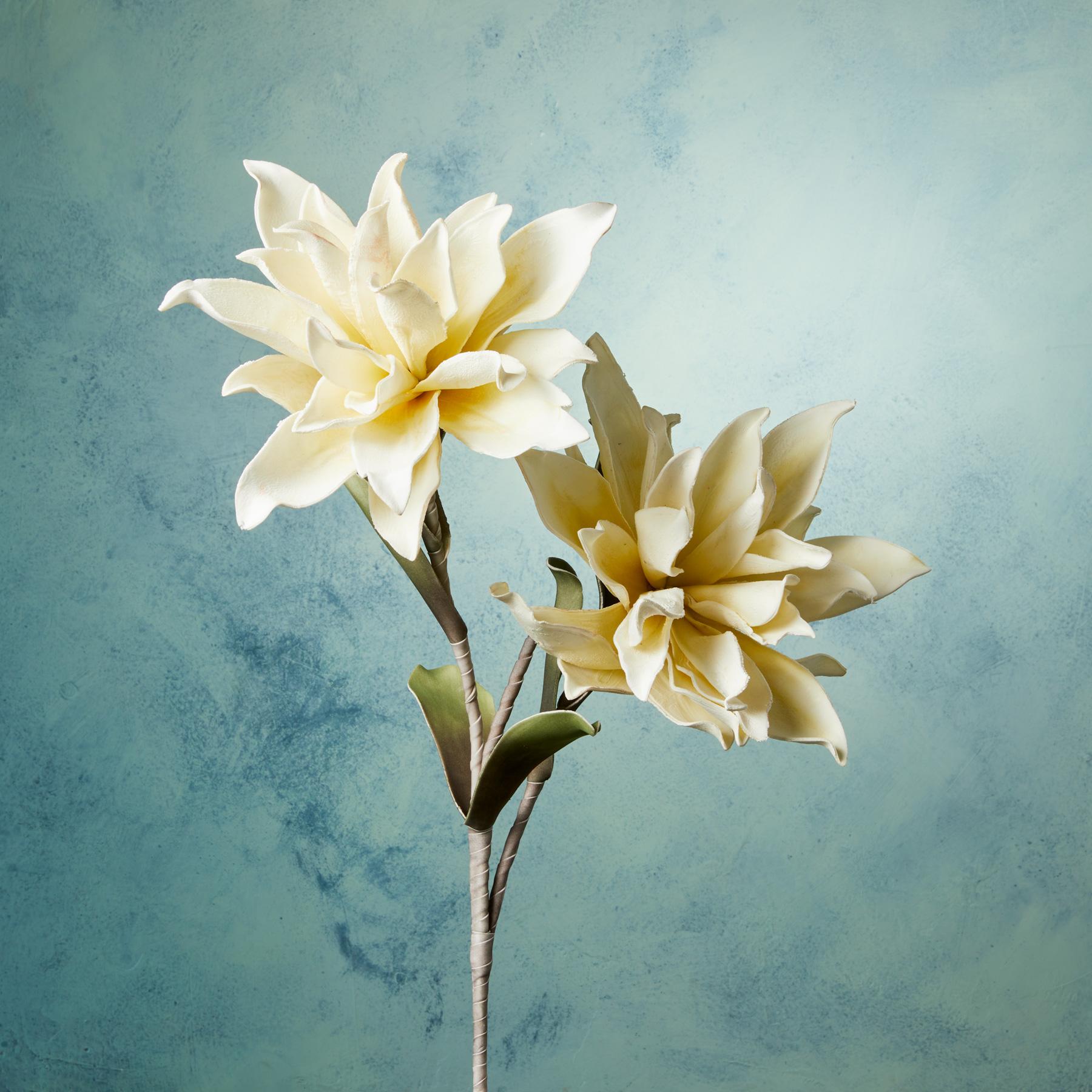 Bountiful Botanicals