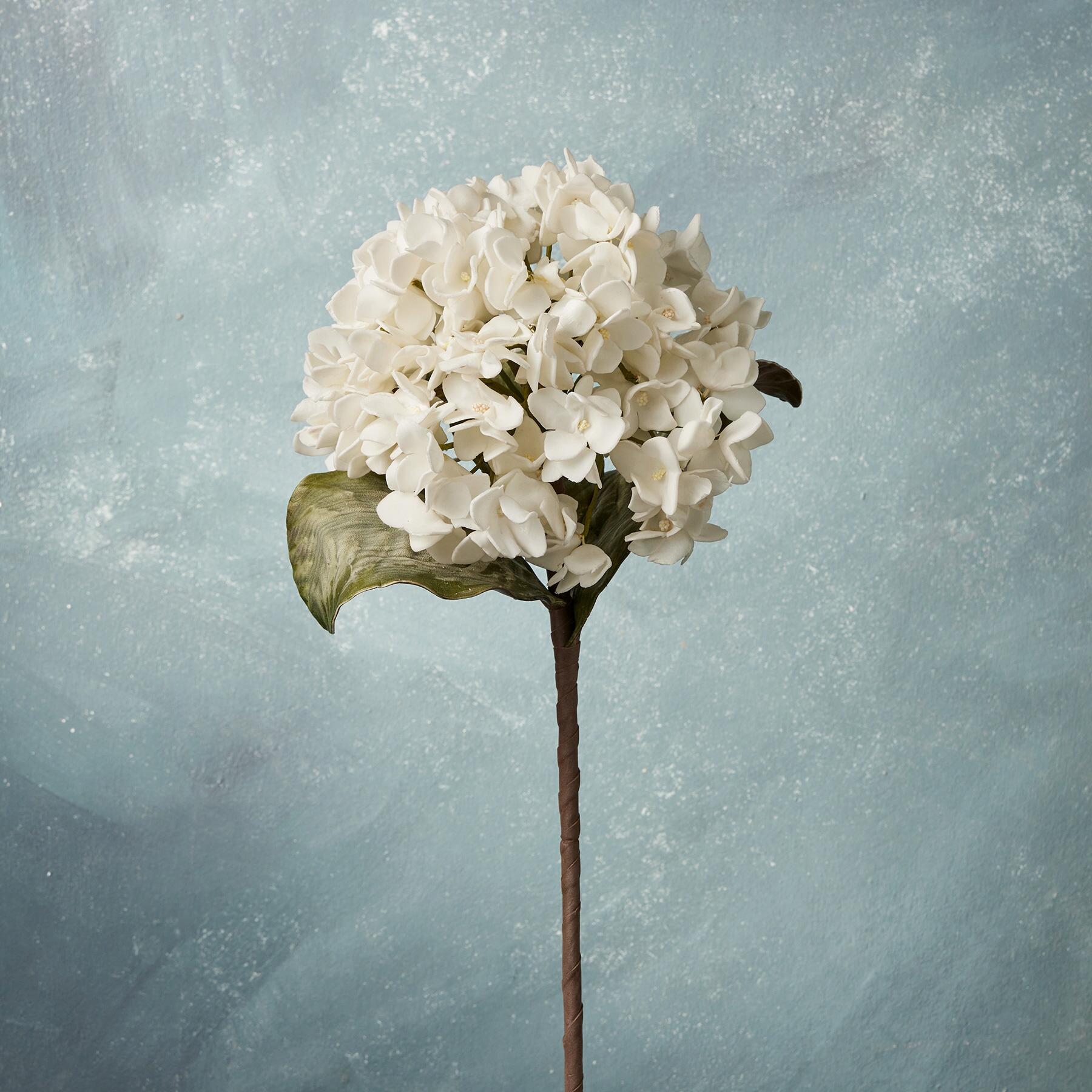 Bountiful Botanicals