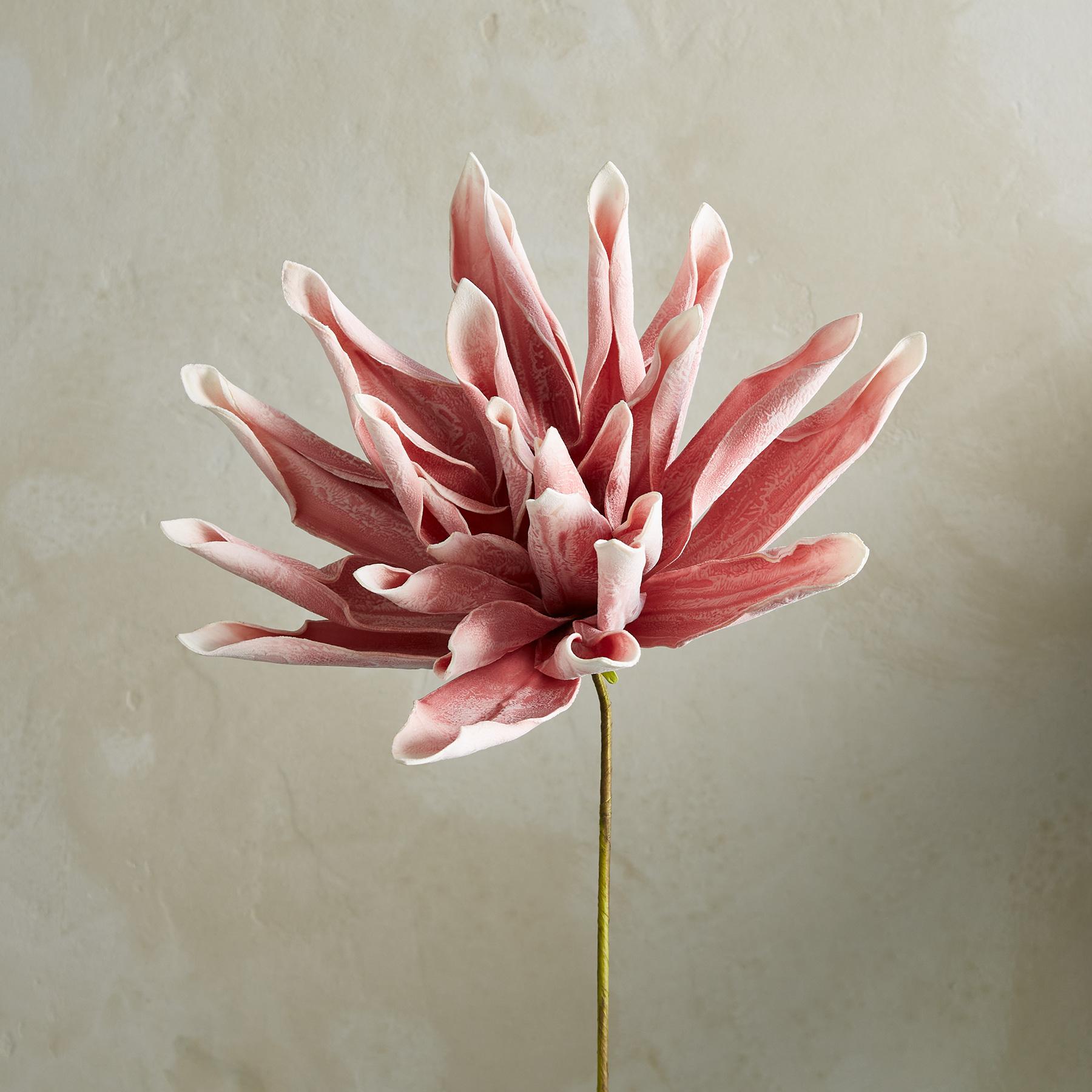 Bountiful Botanicals