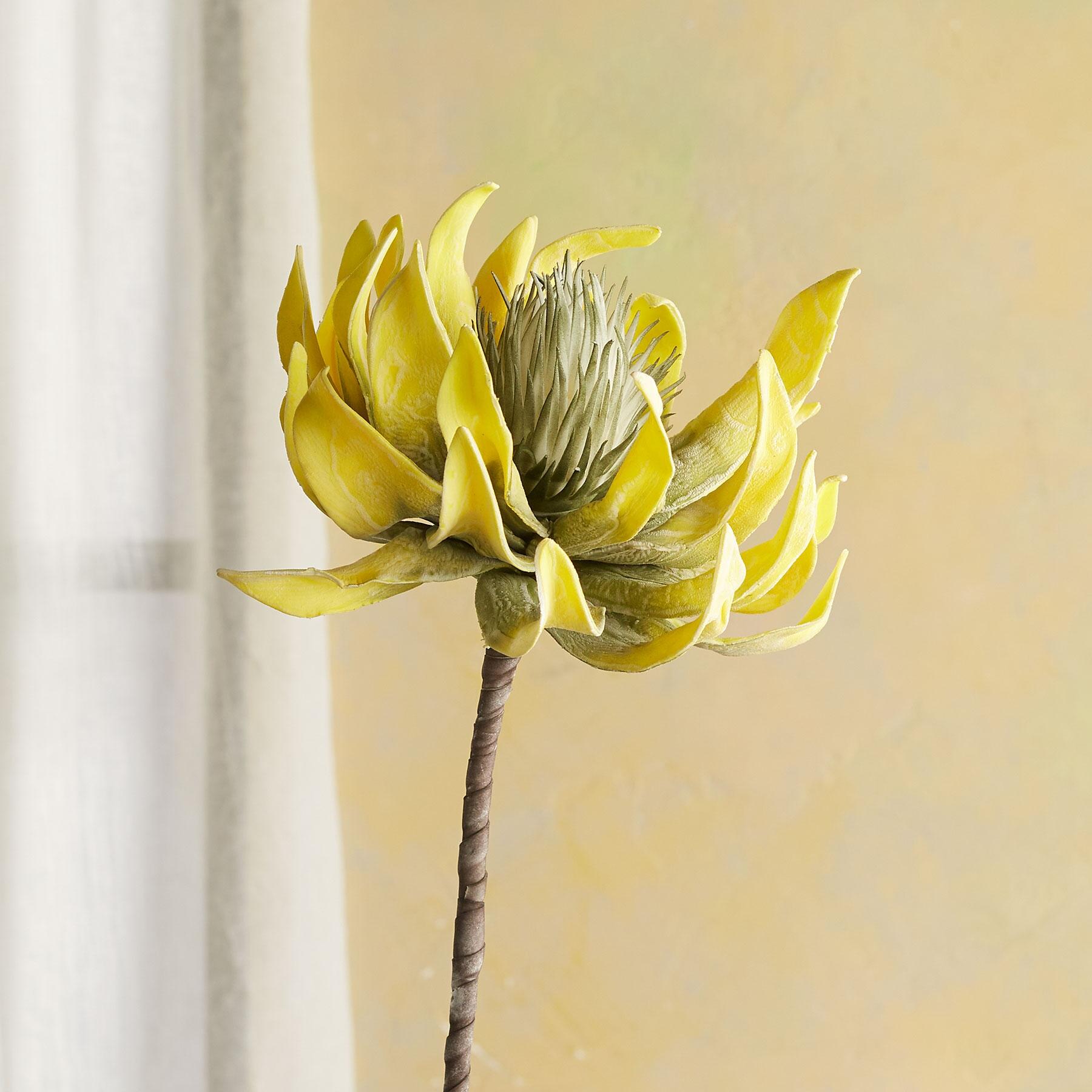 Bountiful Botanicals